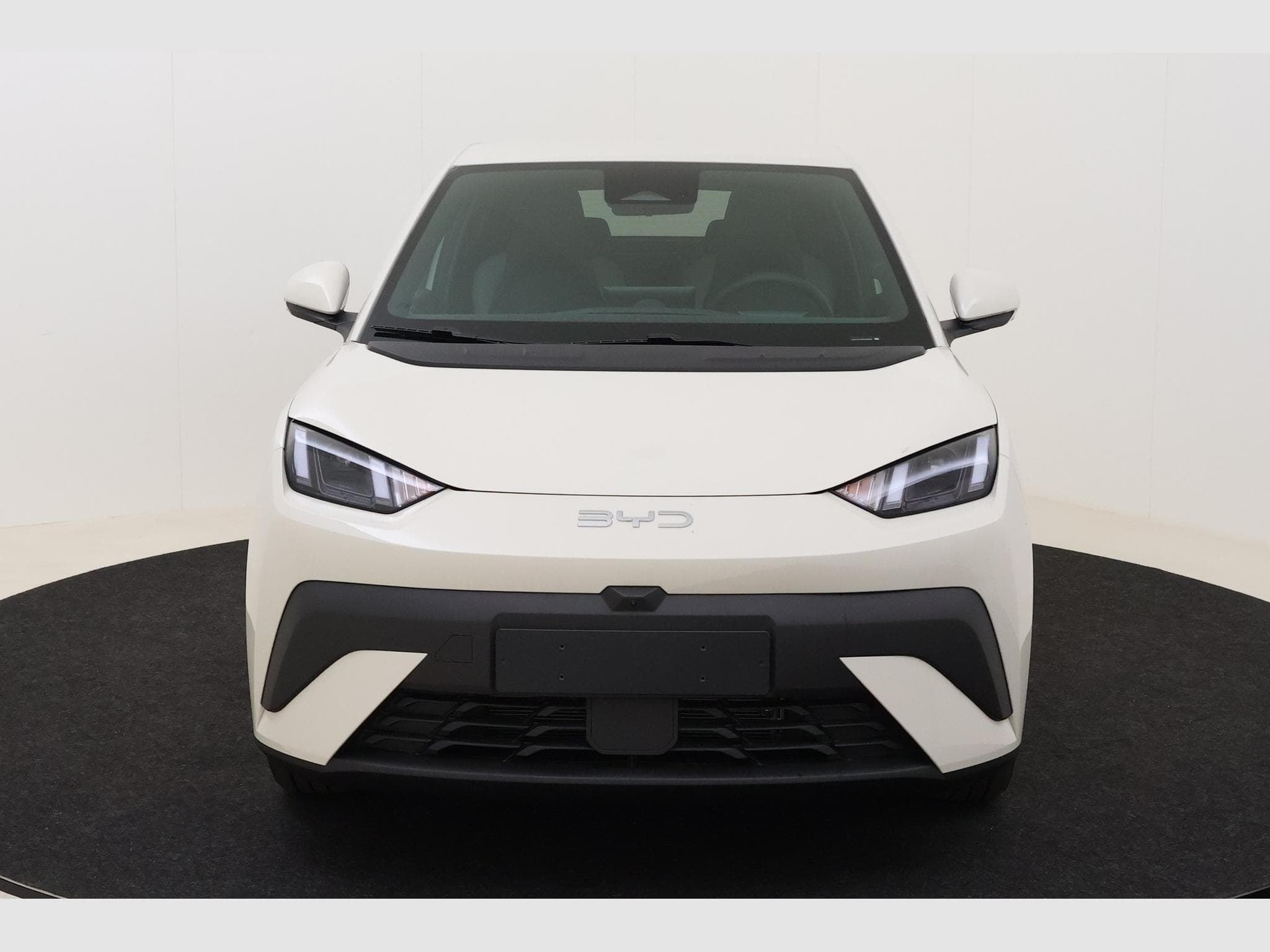 Byd Dolphin Surf Comfort (2025) - Photo 2