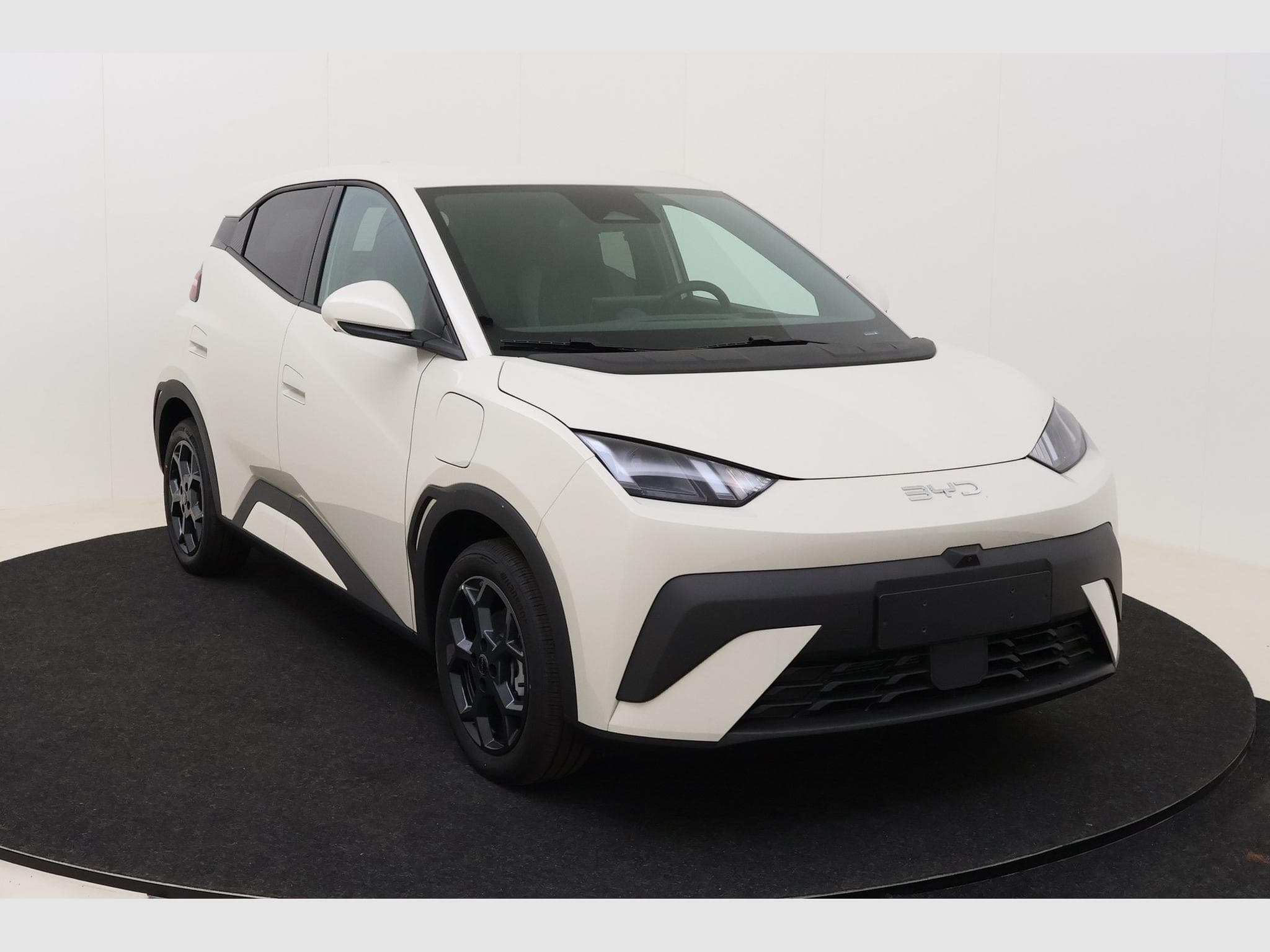 Byd Dolphin Surf Comfort (2025) - Photo 3