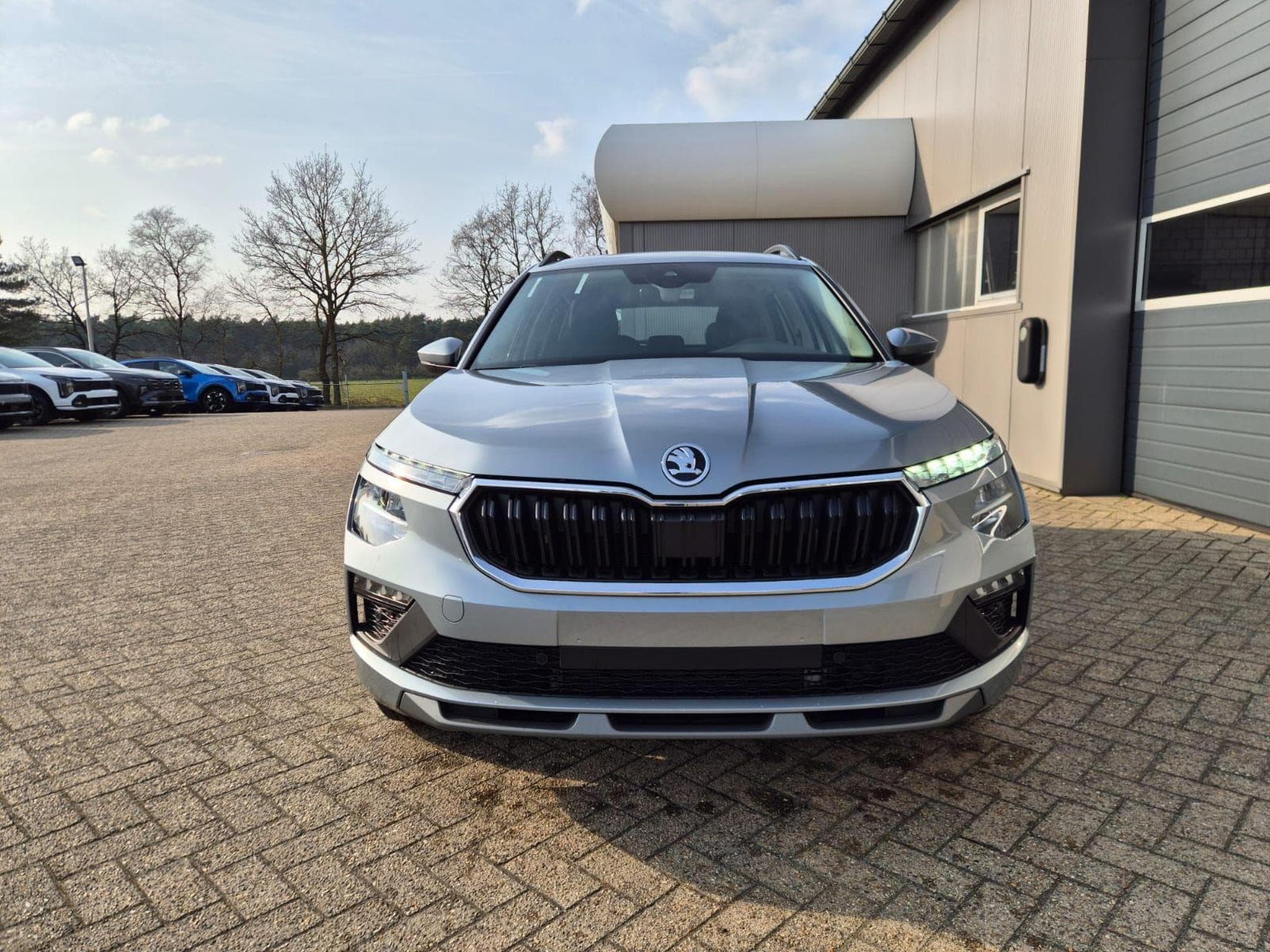 Skoda Kamiq Selection (2026) - Photo 8
