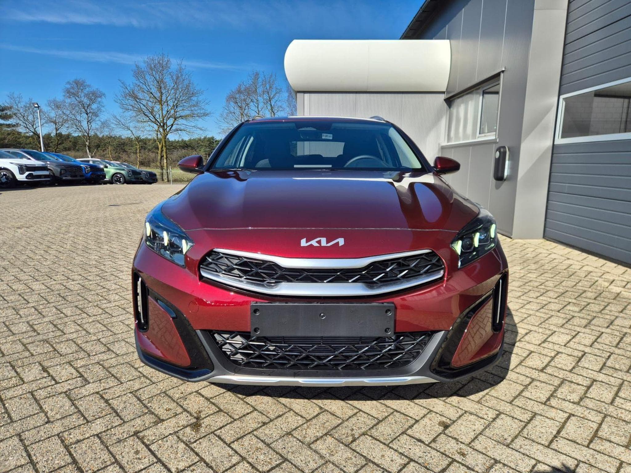 Kia Xceed (2026) - Photo 8
