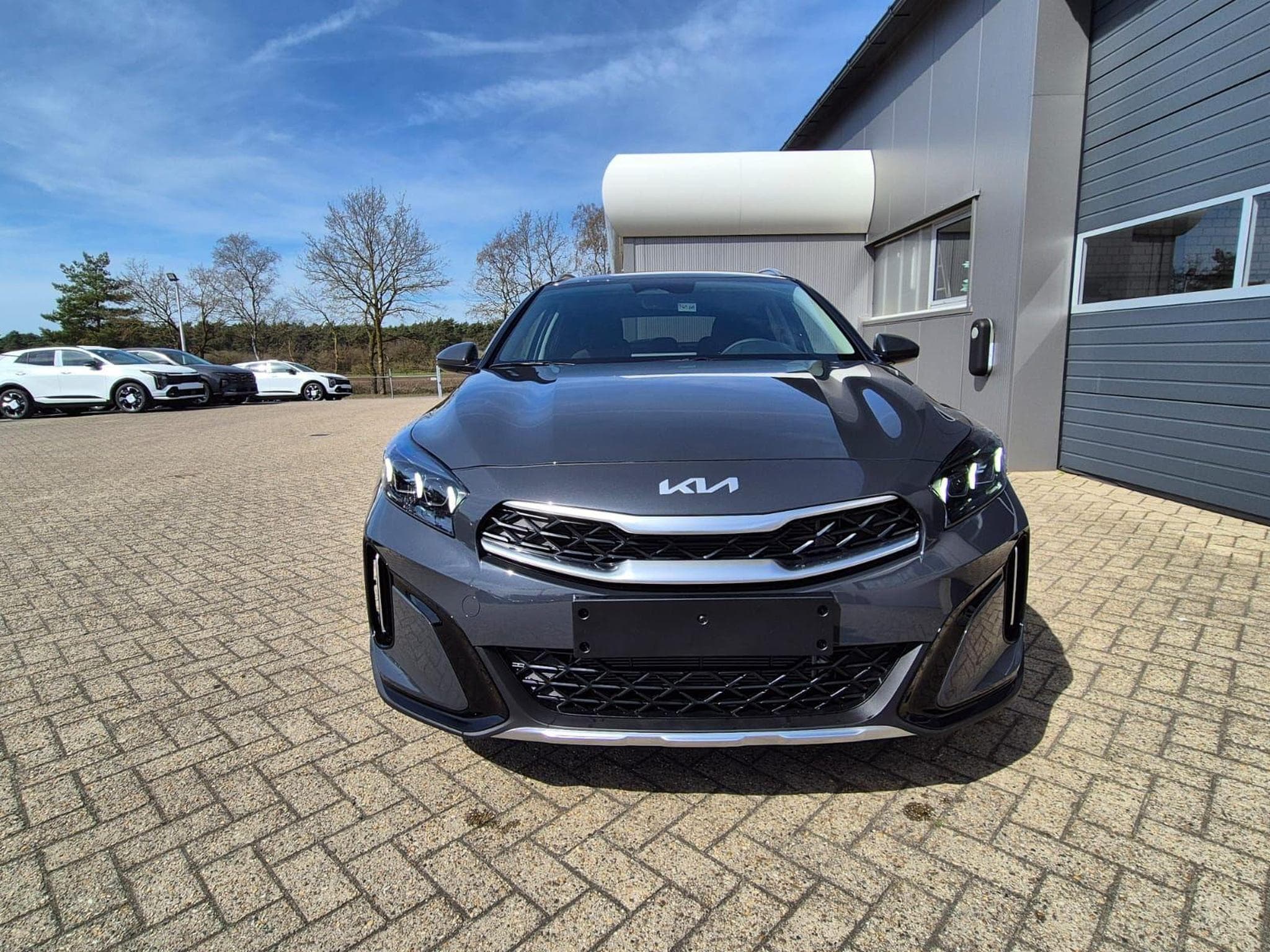 Kia Xceed (2026) - Photo 8