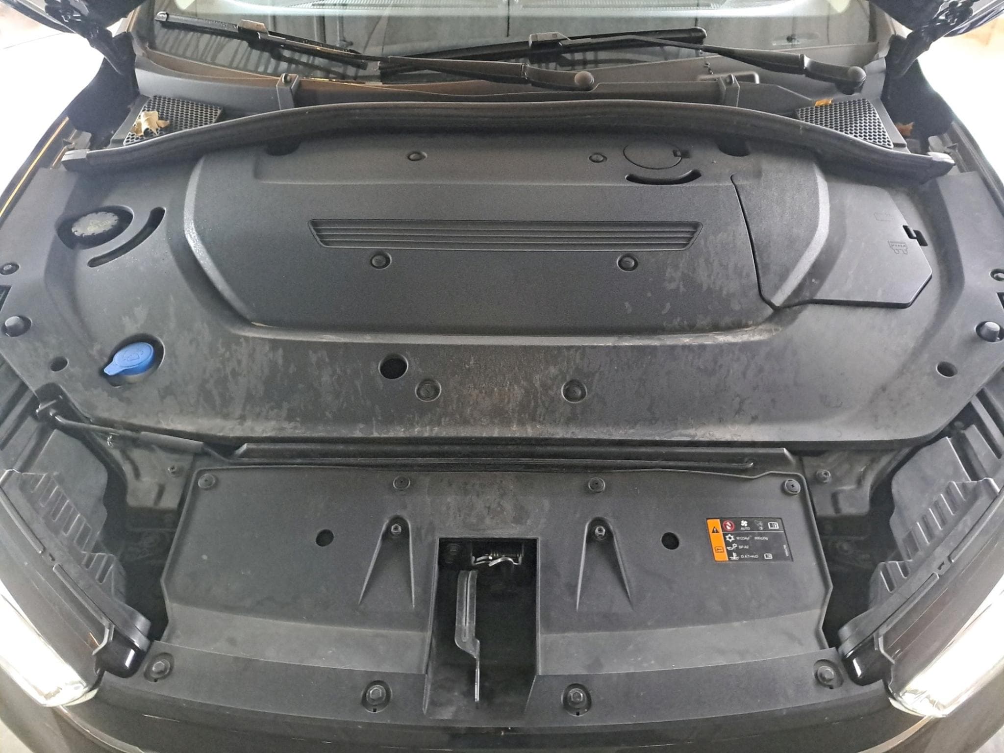Mg MG5 Comfort (2024) - Foto 7