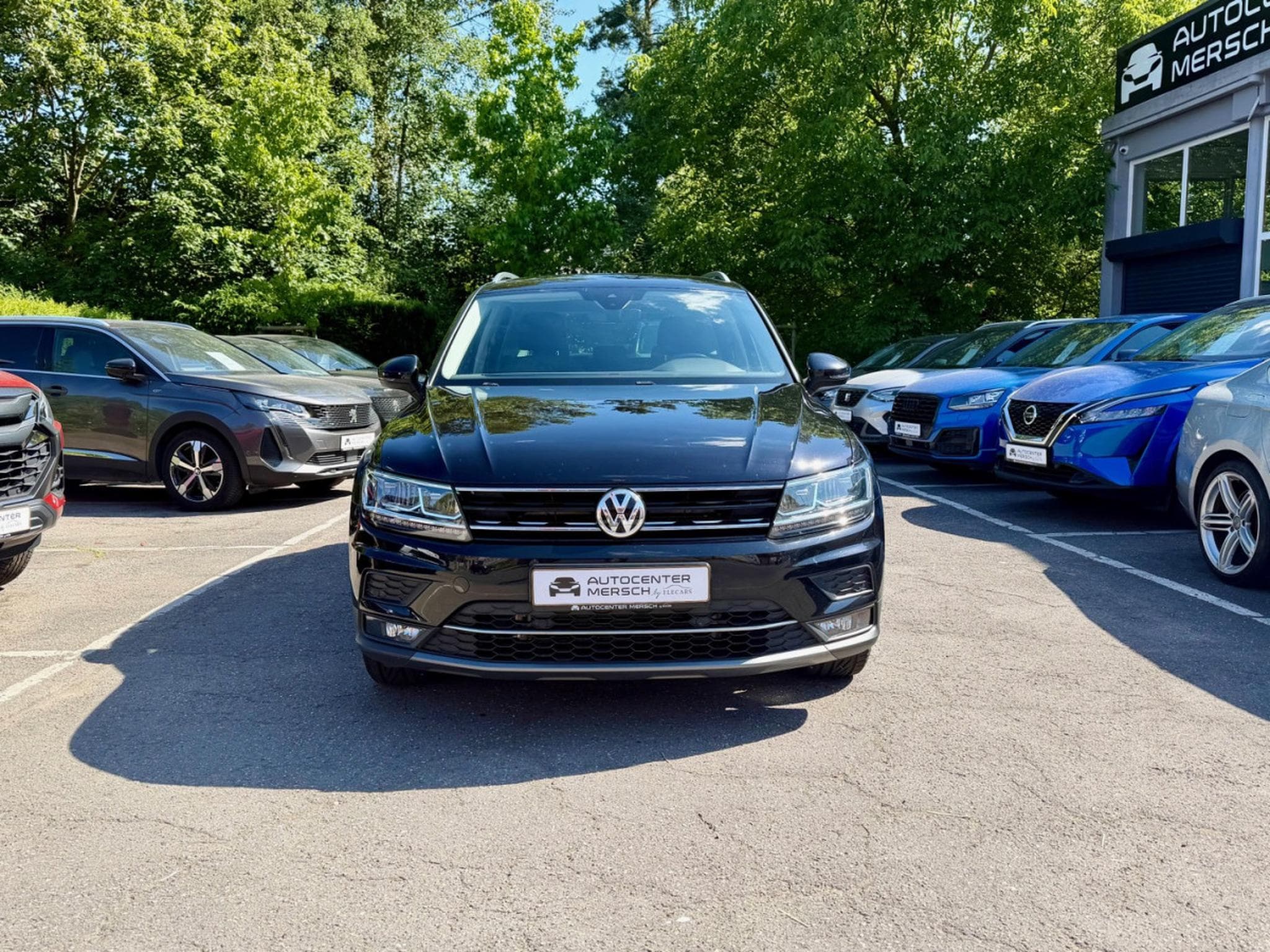 VW Tiguan 2.0 TDI 150 DSG7 4Motion Highline AHK/VIRTUAL/ACC (2018) - Photo 2