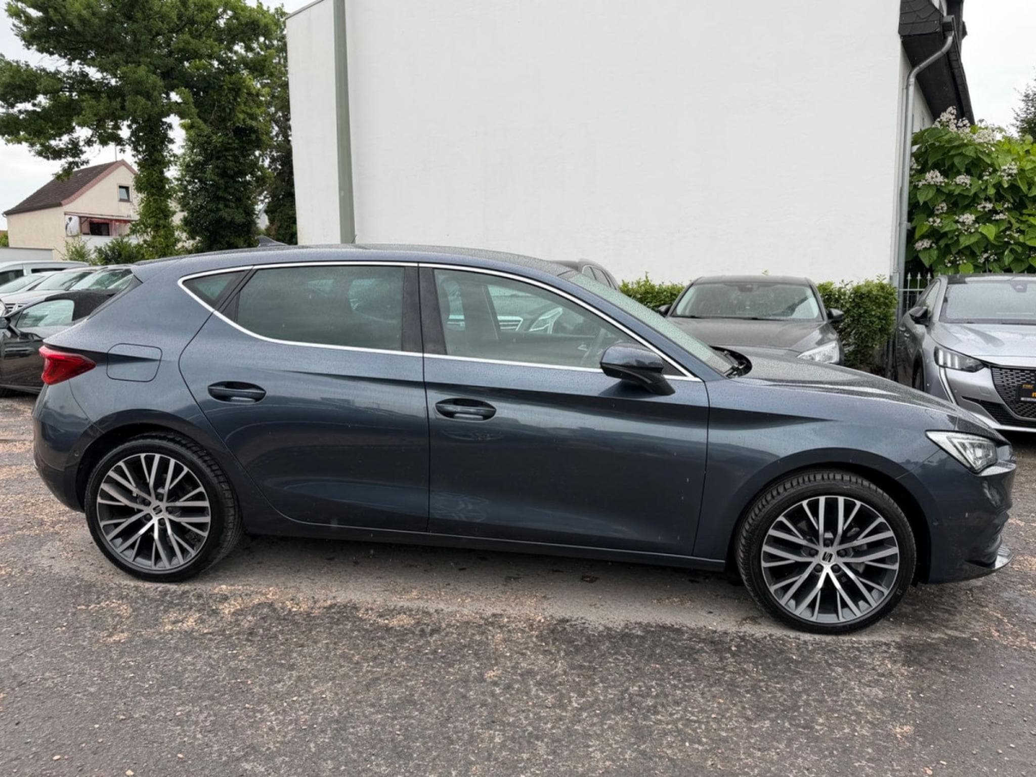 Seat Leon Xcellence (2021) - Foto 7