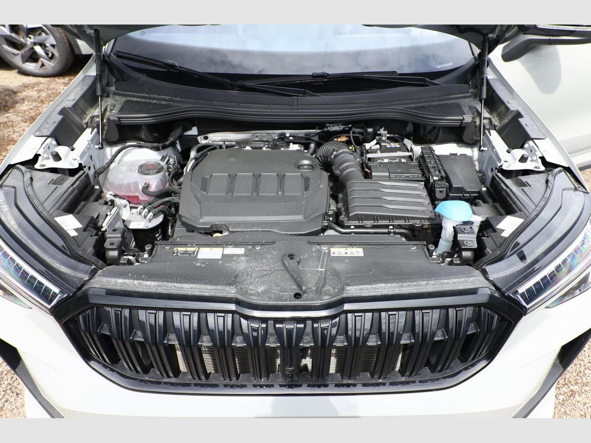 Skoda Kodiaq Sportline (2026) - Photo 12