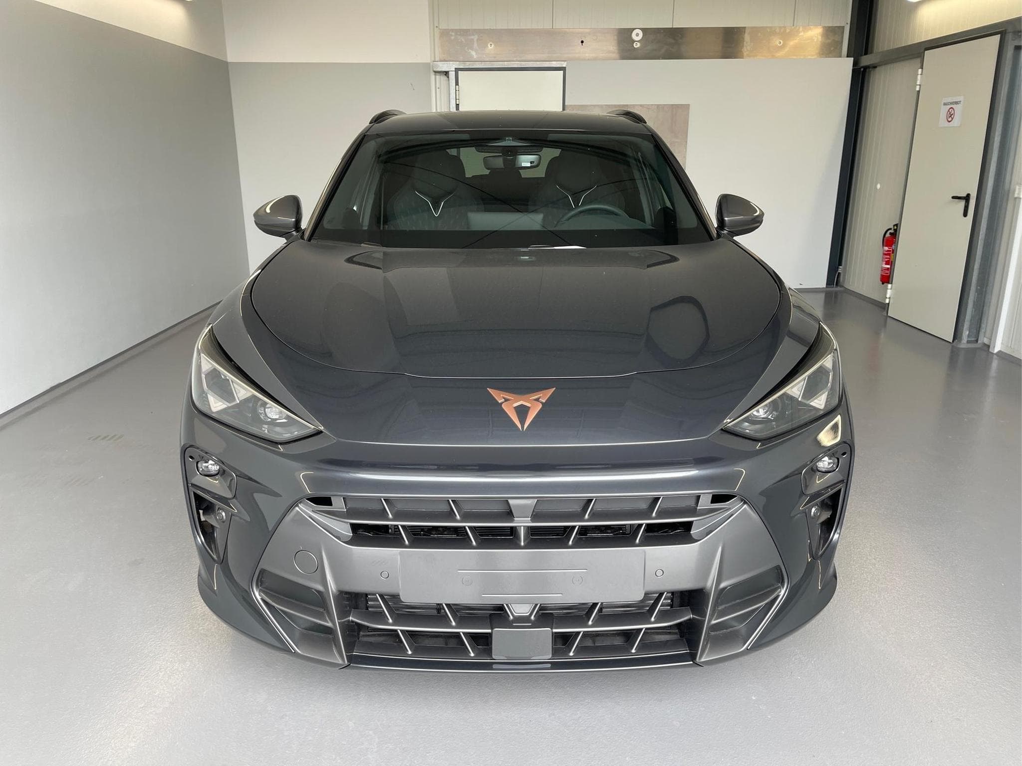 Cupra Terramar Terramar (2026) - Photo 2