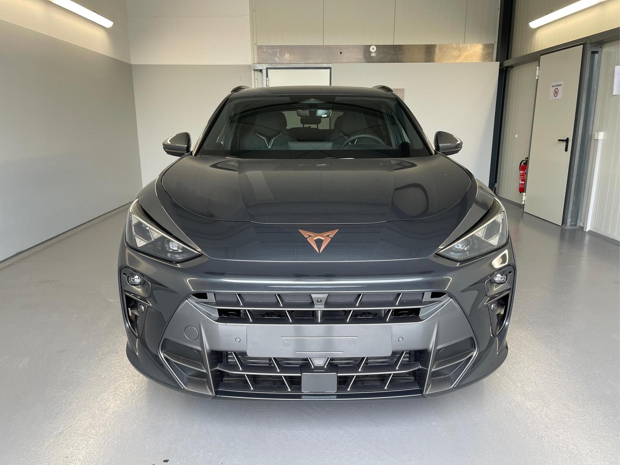 Cupra Terramar Terramar (2026) - Photo 2