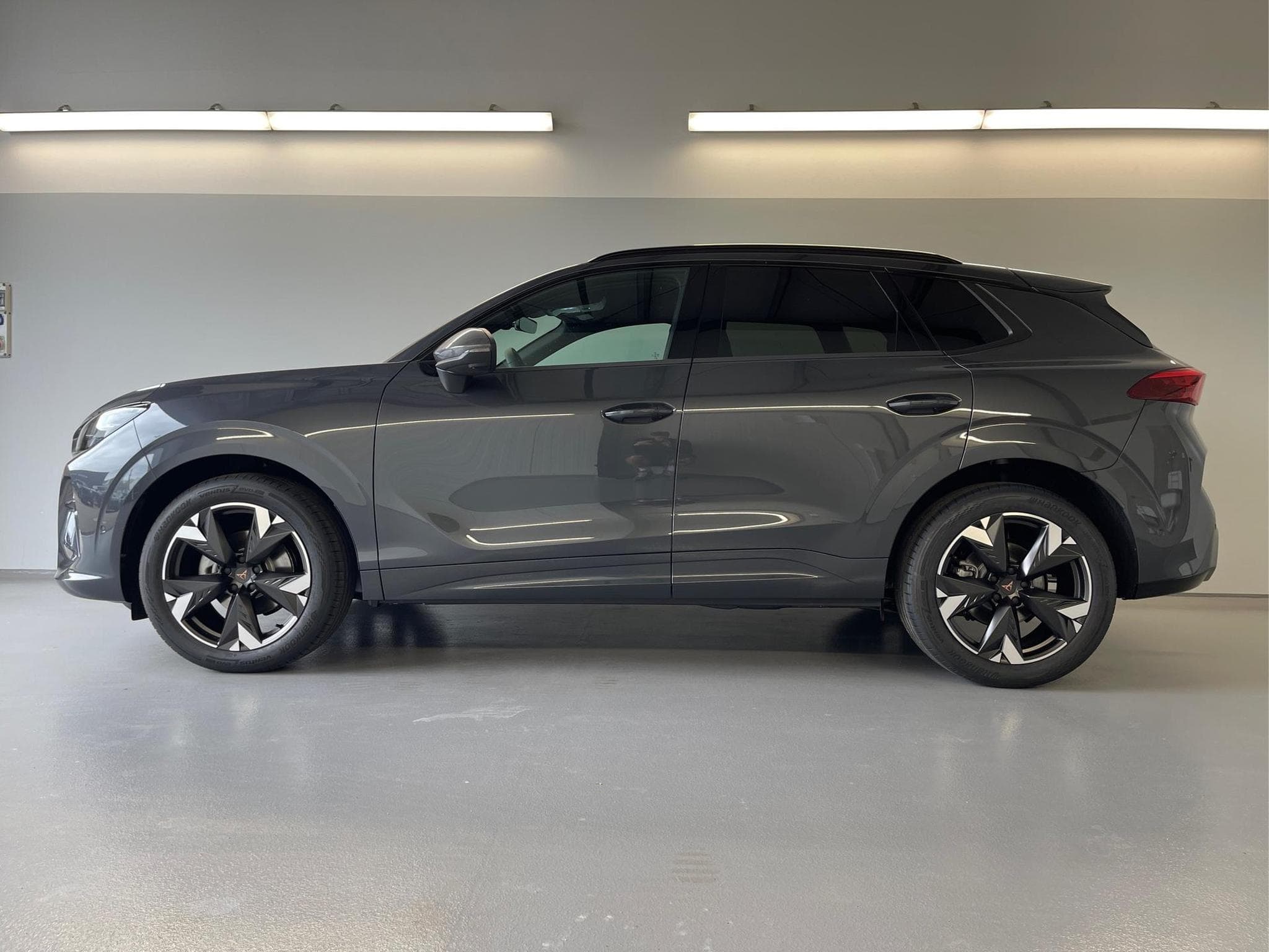 Cupra Terramar Terramar (2026) - Photo 3