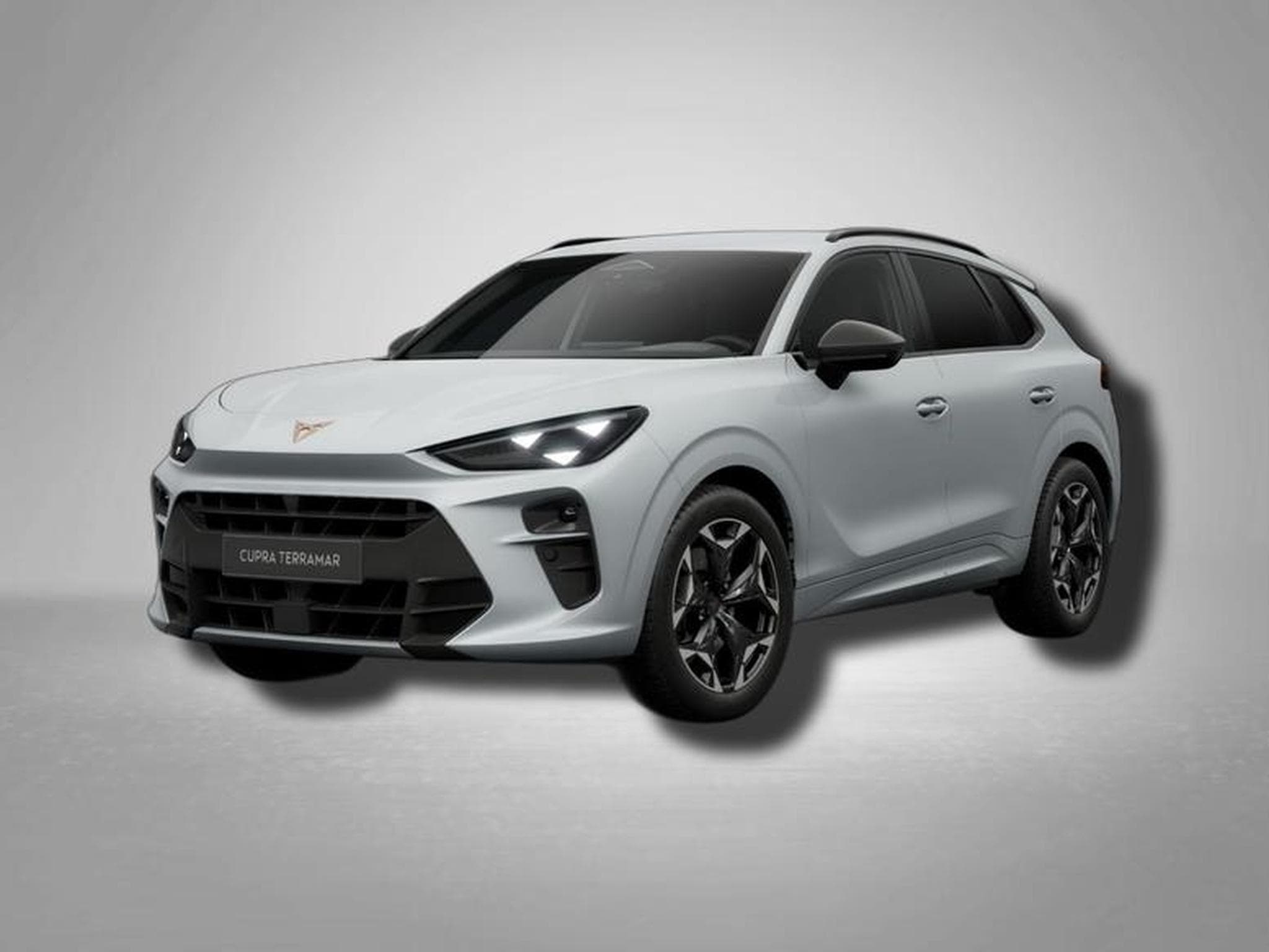 Cupra Terramar VZ 2.0 TSI (2026) - Photo 1