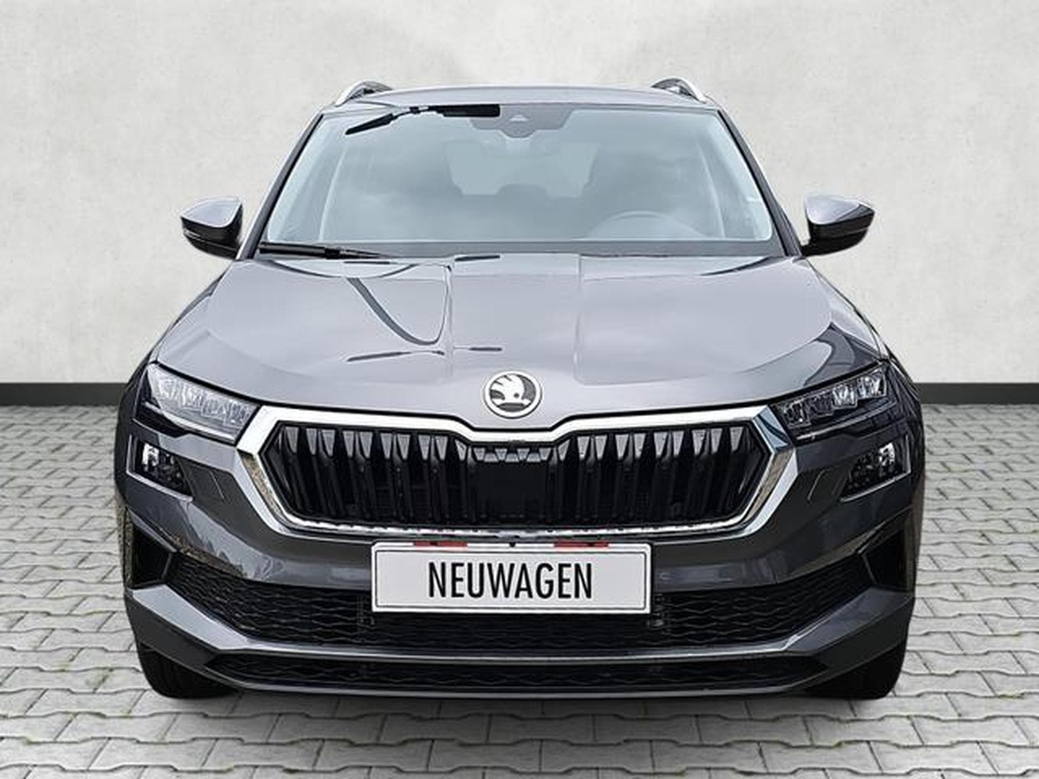 Skoda Karoq Selection (2026) - Foto 2