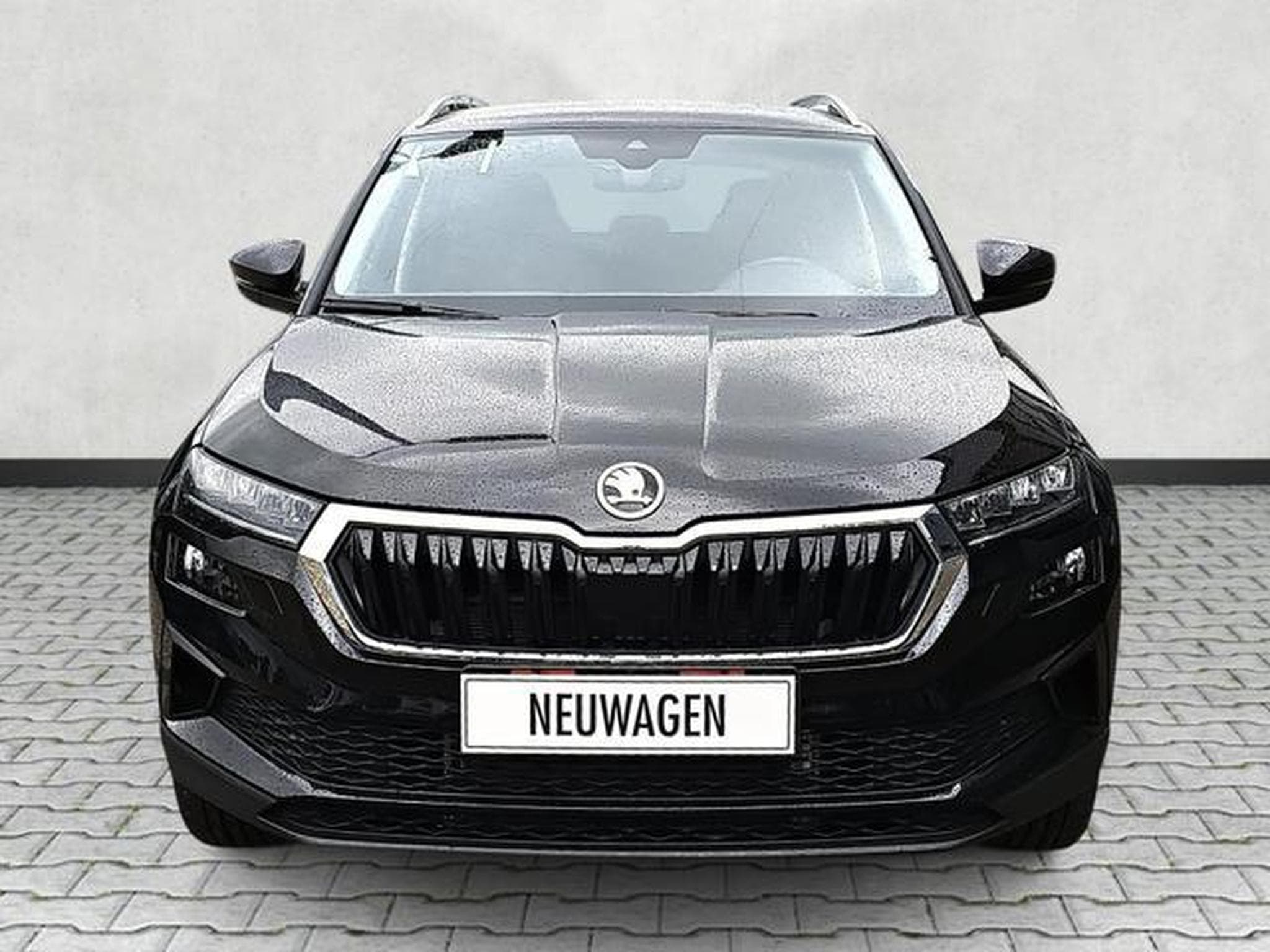 Skoda Karoq Selection (2026) - Foto 2