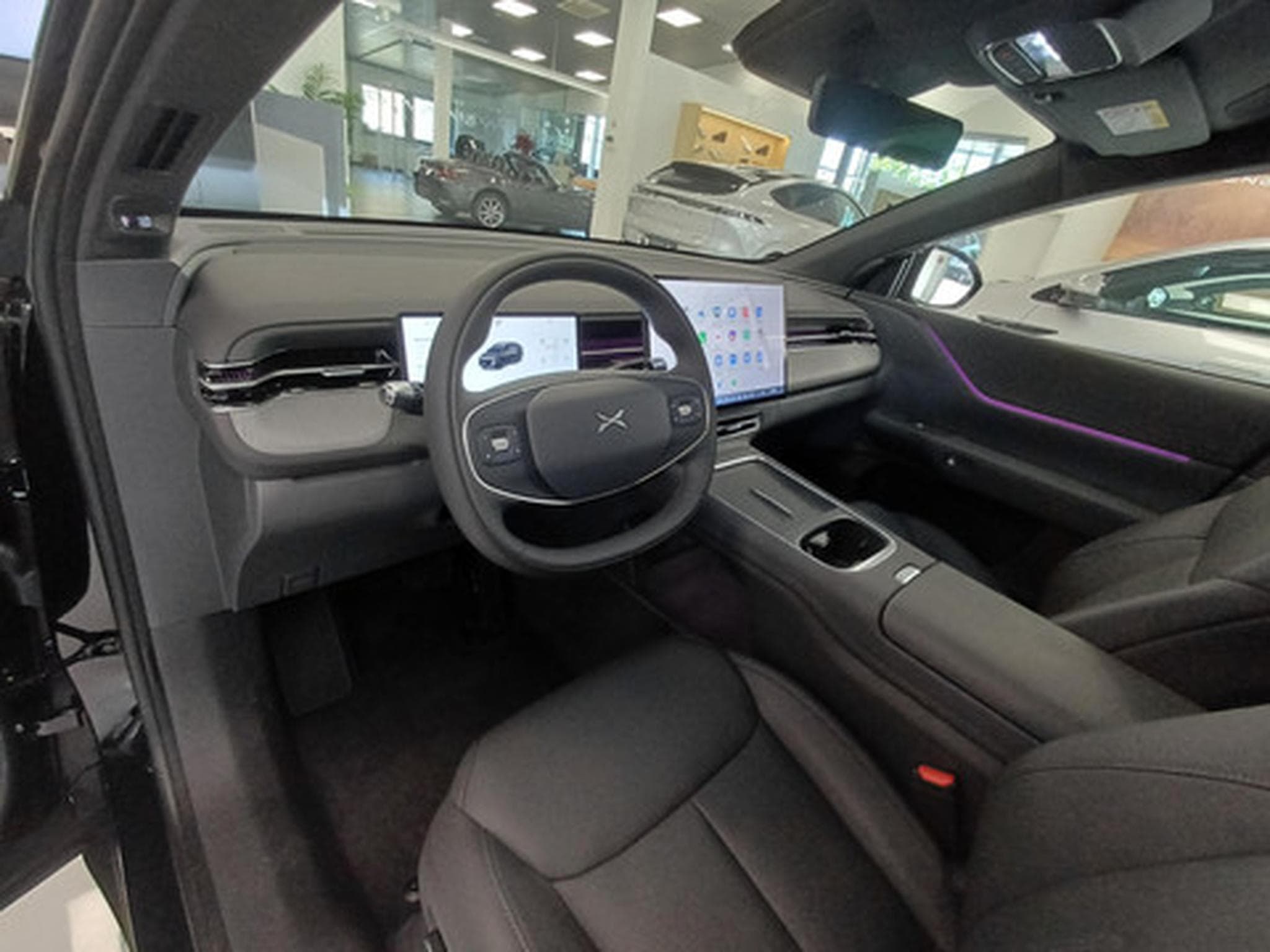 Xpeng G6 New AWD Performan Performance AWD (2026) - Foto 10