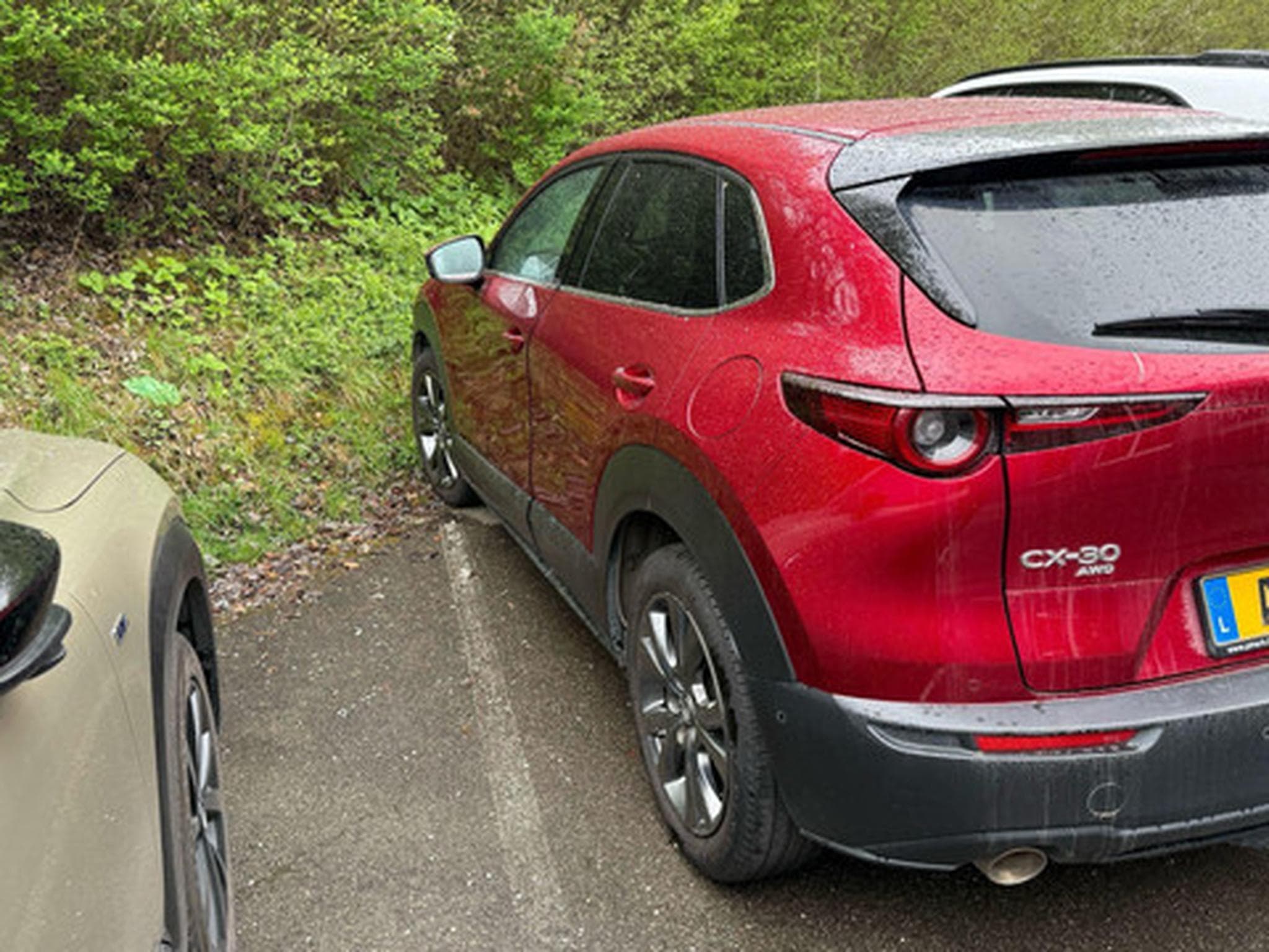 Mazda CX-30 2.0 e-Skyactiv X 137kW 4WD AT Skycruise (2020) - Photo 4