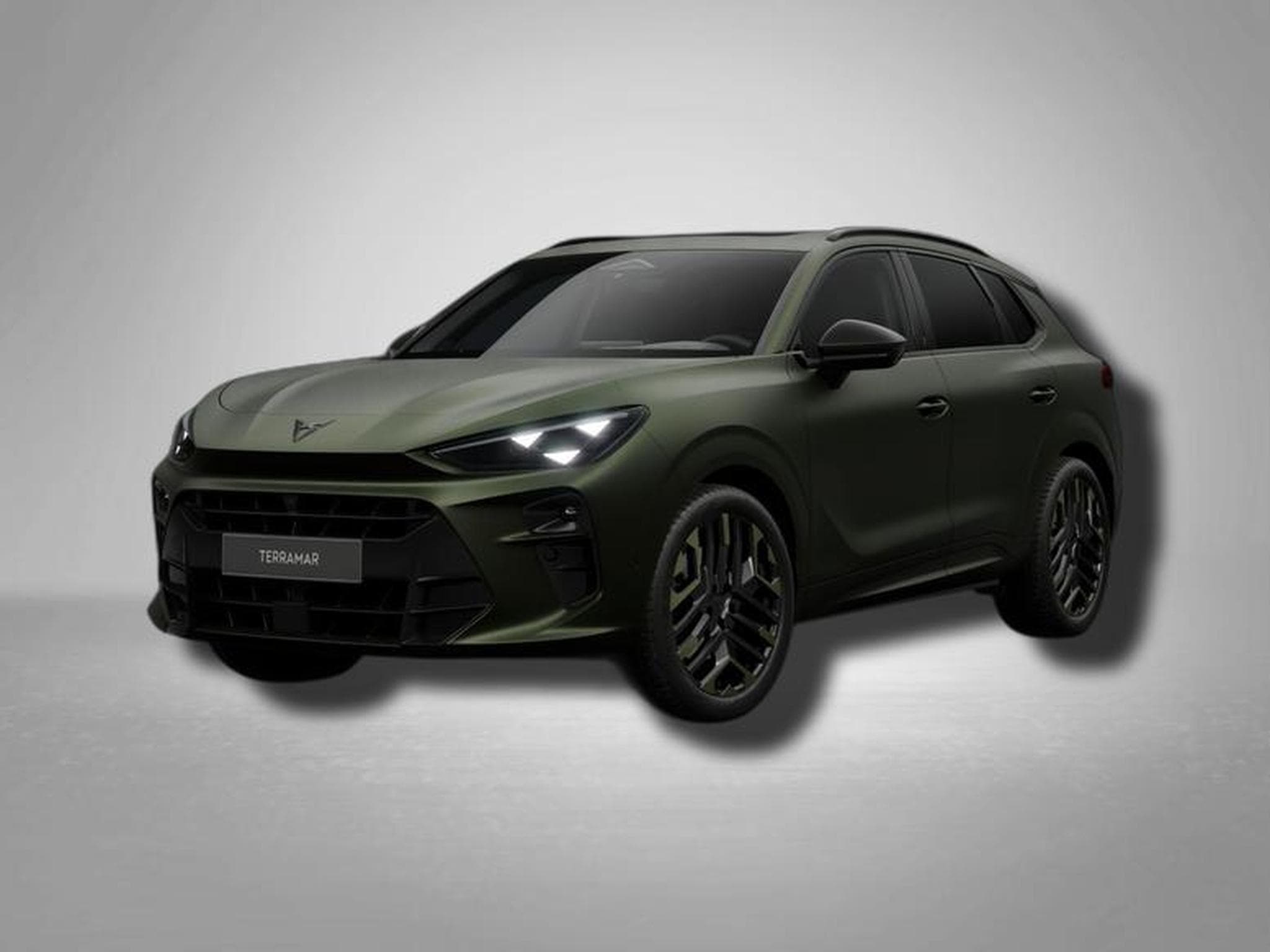 Cupra Terramar VZ Tribe Edition 2.0 TSI 7-Gang-DSG 4Drive (2026) - Foto 1
