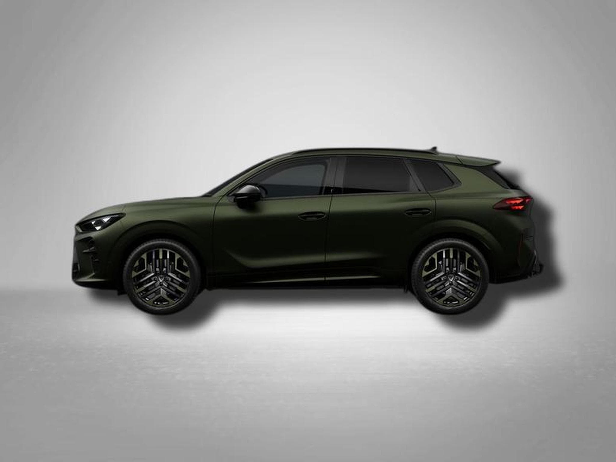 Cupra Terramar VZ Tribe Edition 2.0 TSI 7-Gang-DSG 4Drive (2026) - Foto 2