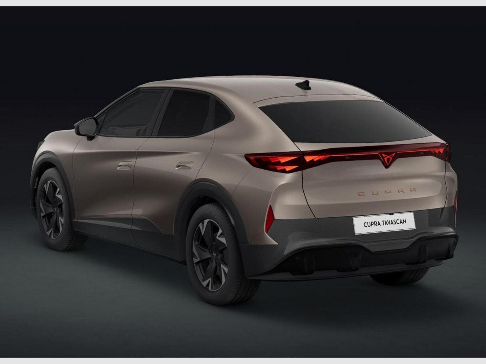 Cupra Tavascan Endurance (2026) - Photo 5