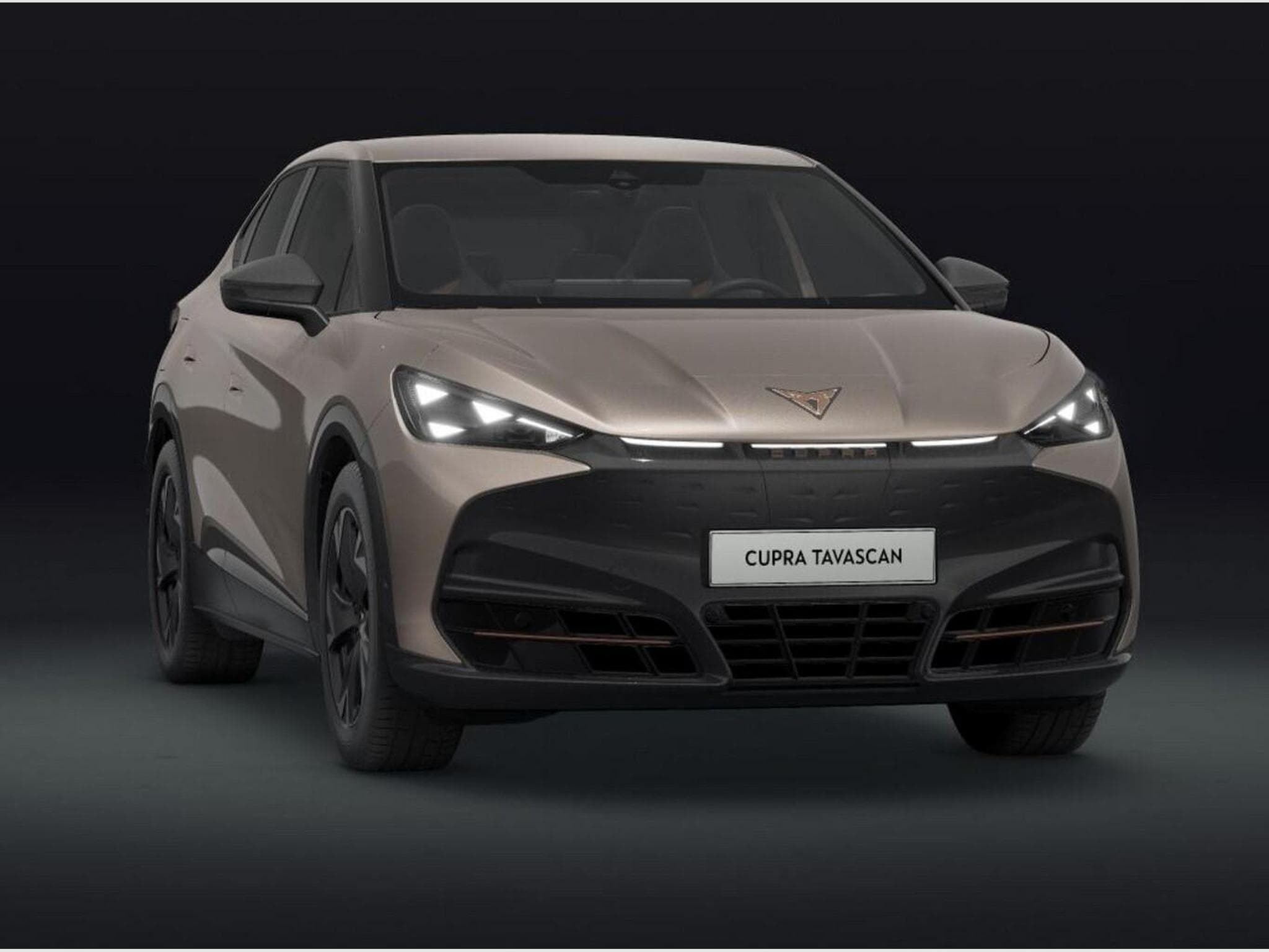 Cupra Tavascan Endurance (2026) - Photo 2