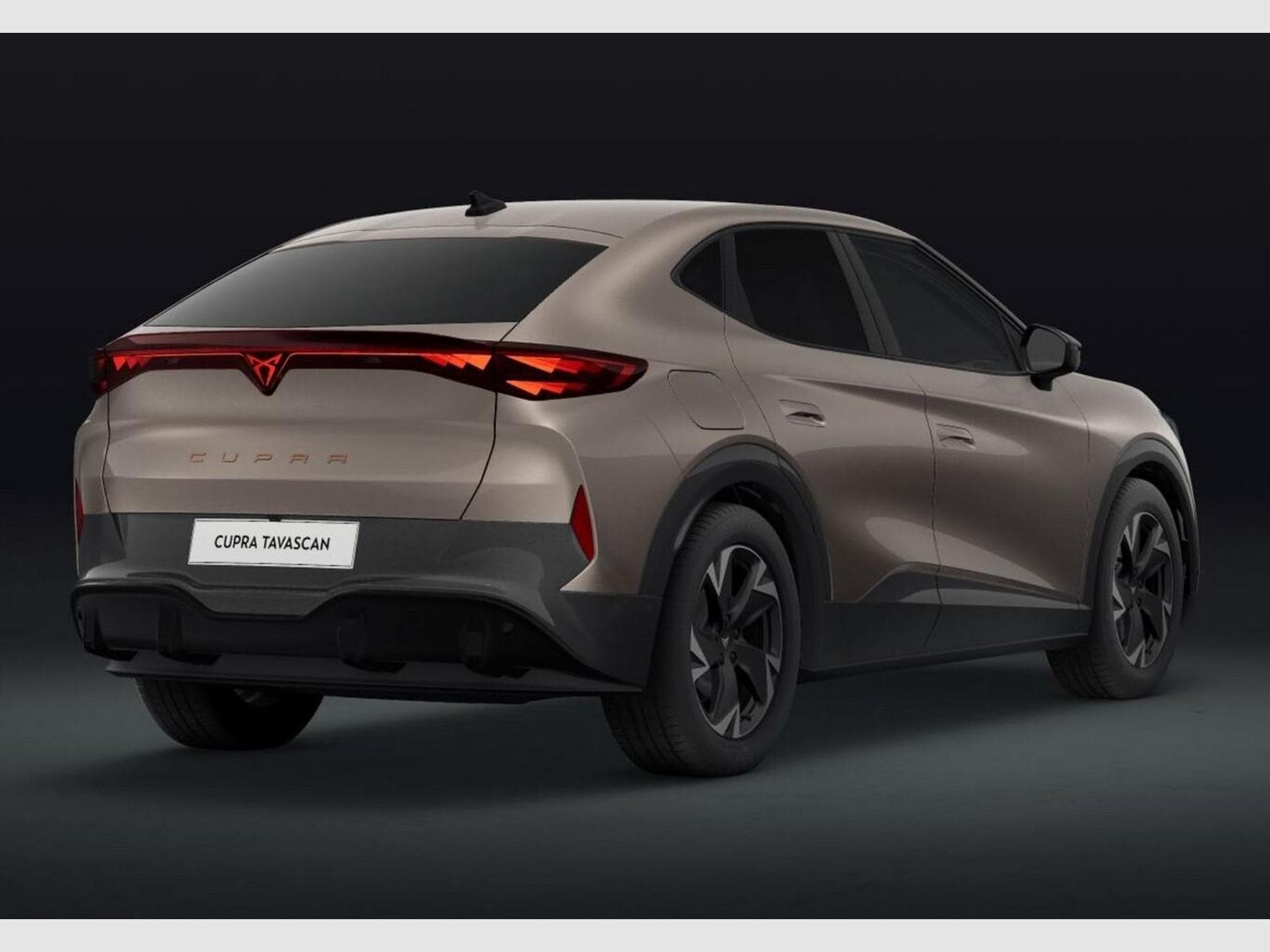 Cupra Tavascan Endurance (2026) - Photo 4