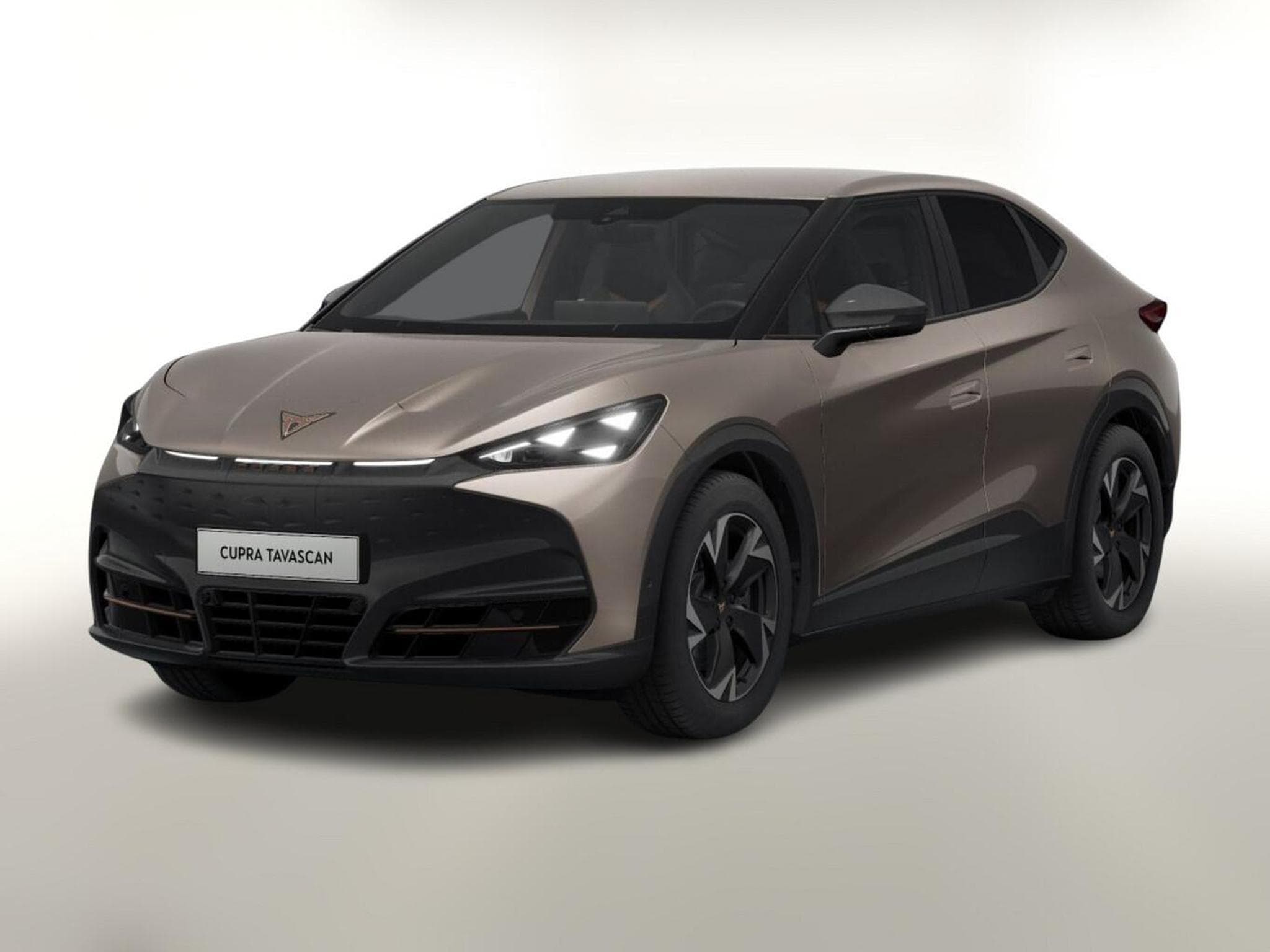 Cupra Tavascan Endurance (2026) - Photo 1