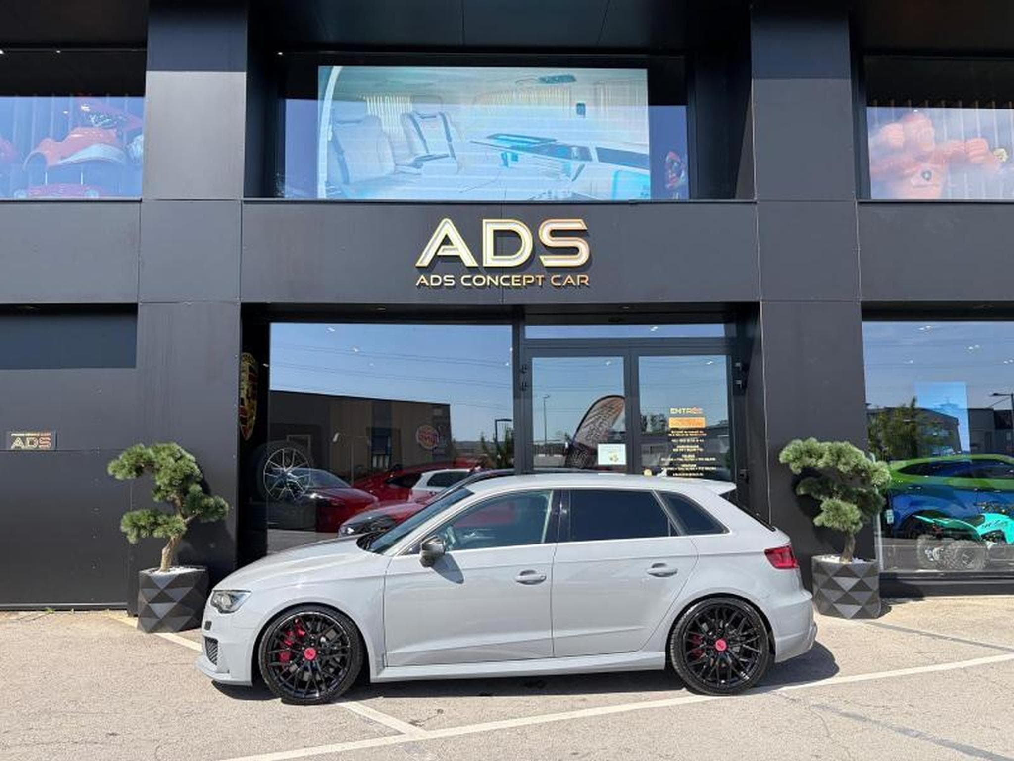 Audi RS3 RS3 (2015) - Photo 14