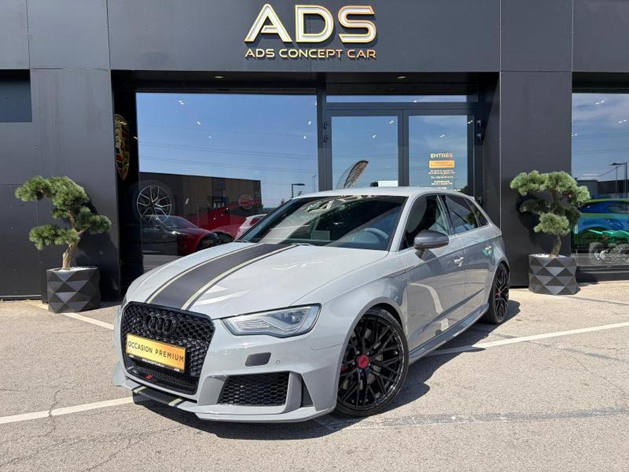 Audi RS3 RS3 (2015) - Photo 2