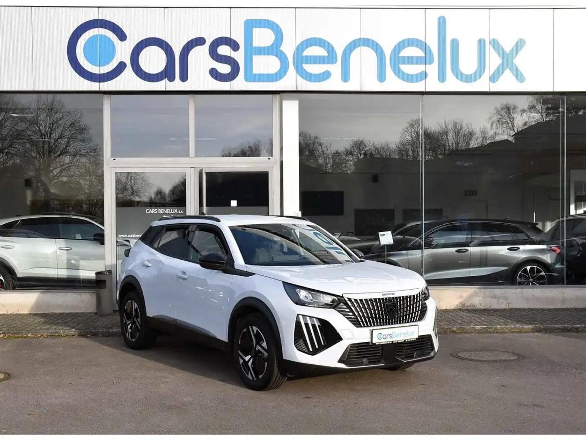 Peugeot 2008 (2025) - Foto 1