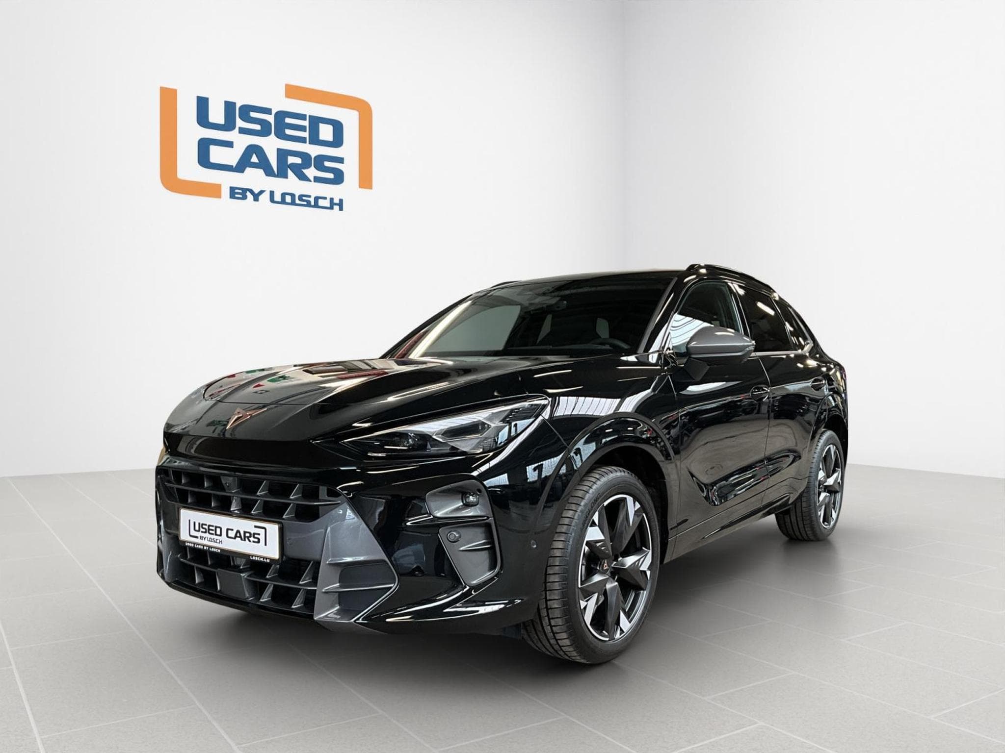 Cupra Terramar DSG+4Drive+immersive-Sennheiser+AHK+Pano (2025) - Foto 1
