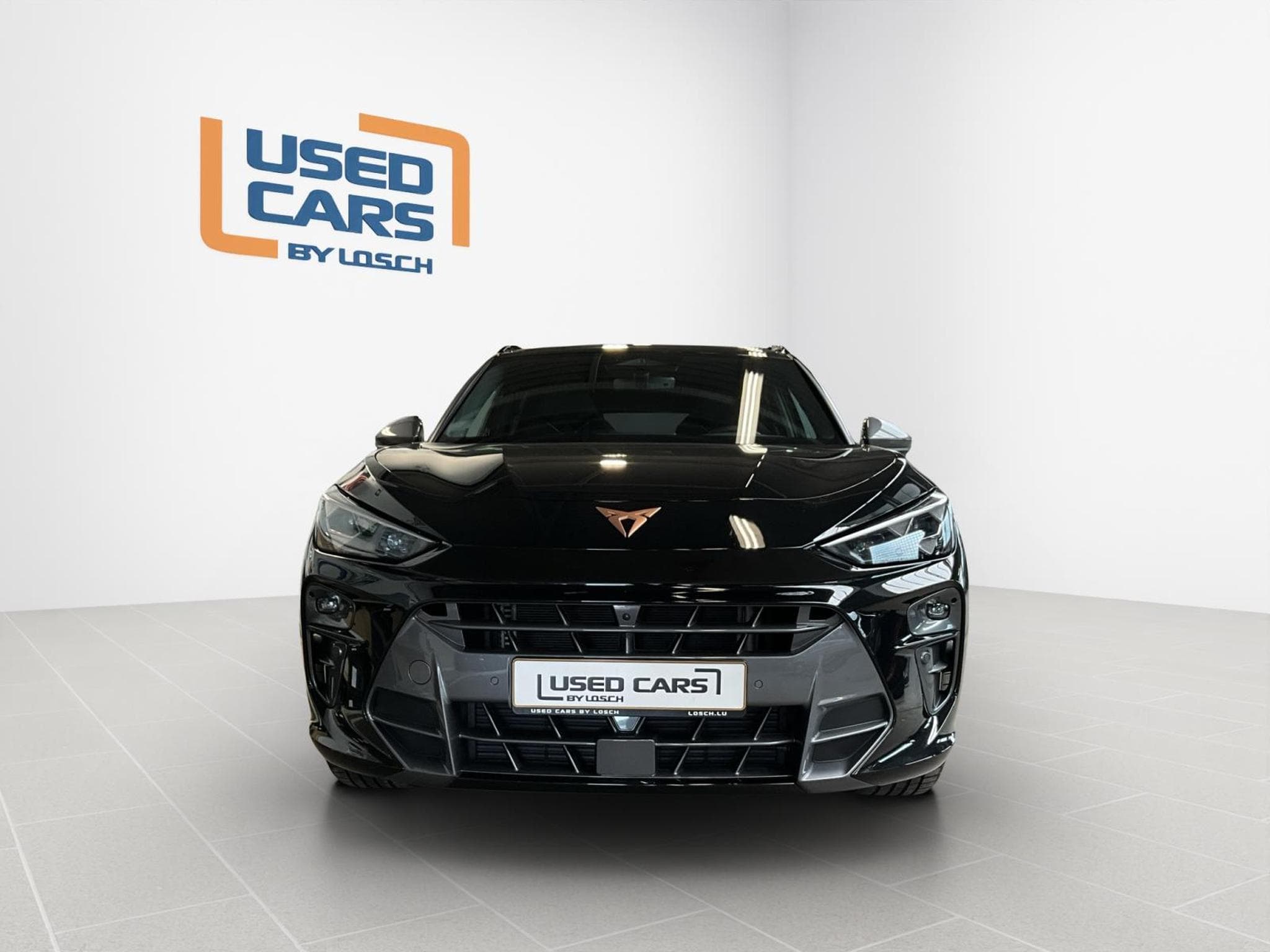 Cupra Terramar DSG+4Drive+immersive-Sennheiser+AHK+Pano (2025) - Foto 3