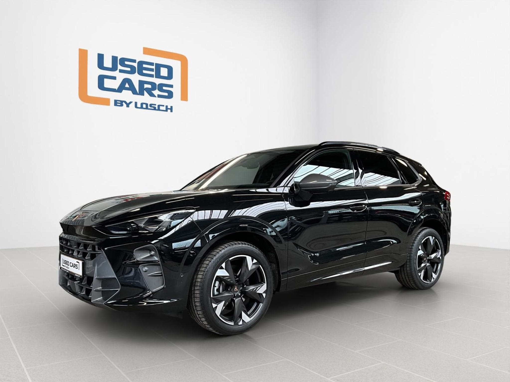 Cupra Terramar DSG+4Drive+immersive-Sennheiser+AHK+Pano (2025) - Foto 4