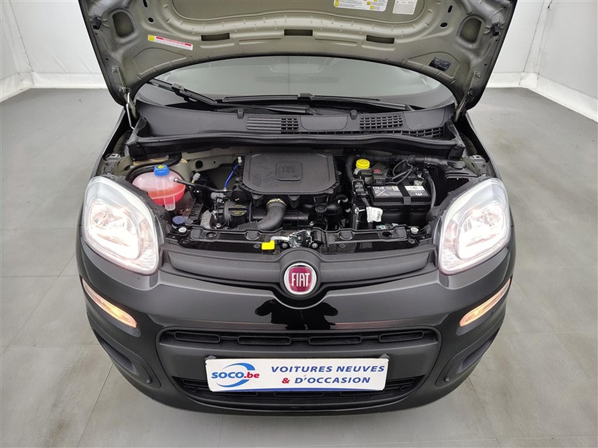 Fiat Panda 1.0i MHEV City Life CLIM / PDC AR (2025) - Foto 17