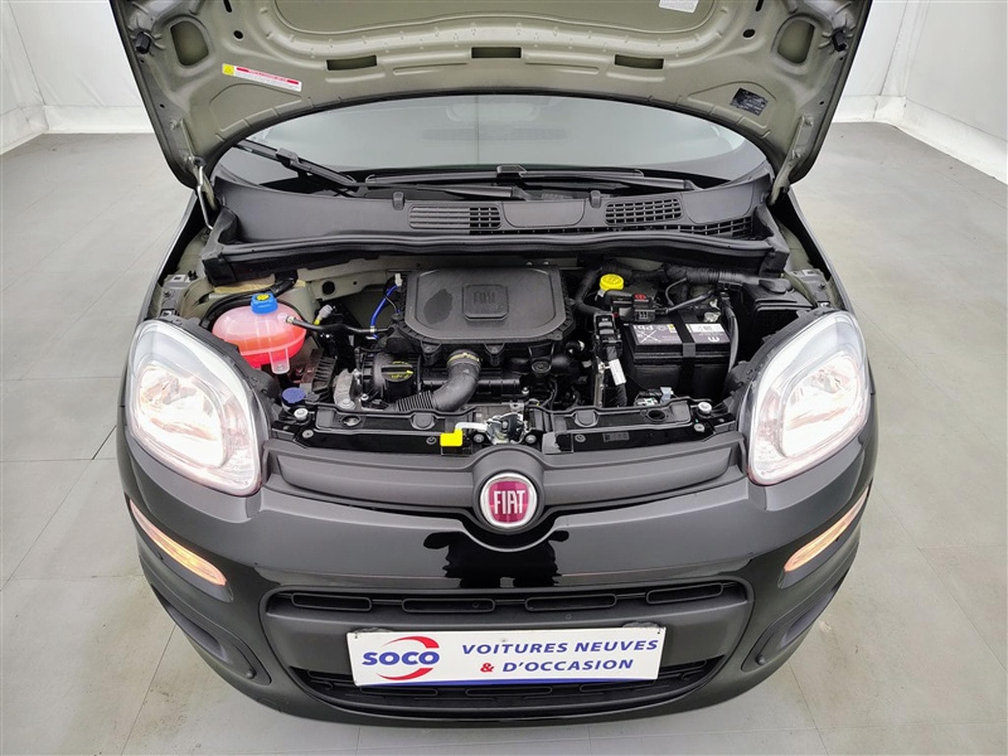 Fiat Panda 1.0i MHEV City Life CLIM / PDC AR (2026) - Photo 18