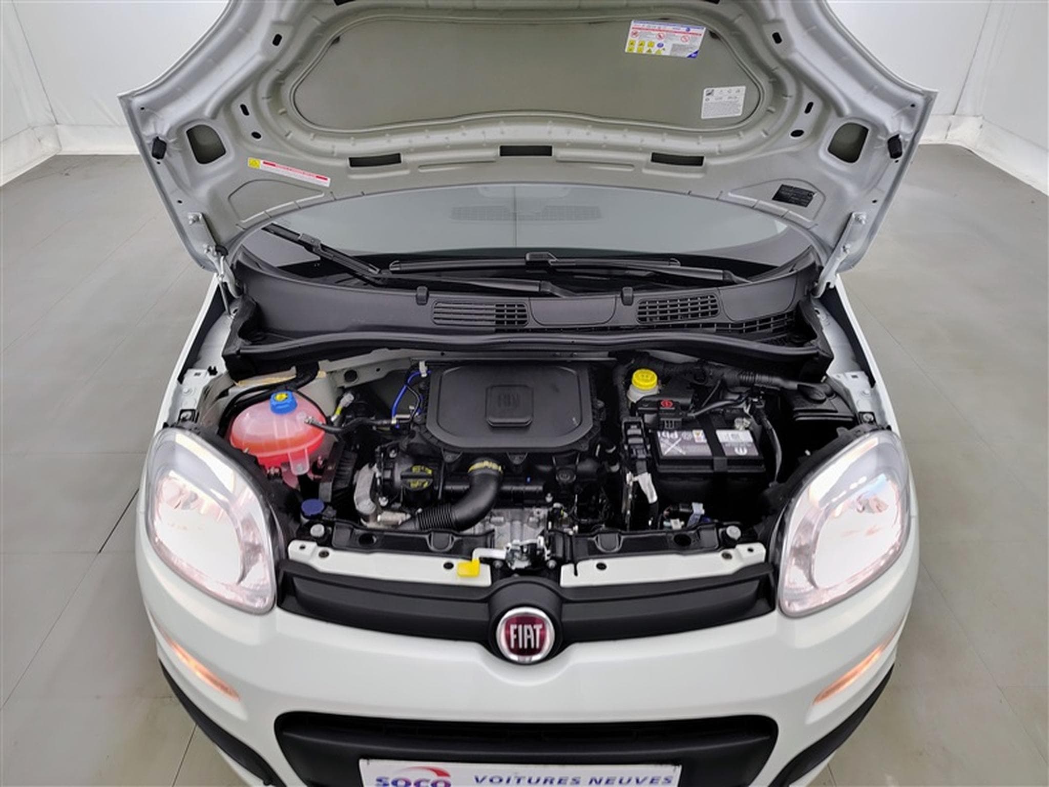 Fiat Panda 1.0i MHEV Icon 5p. CLIM / BLUETOOTH / PDC AR (2026) - Photo 19