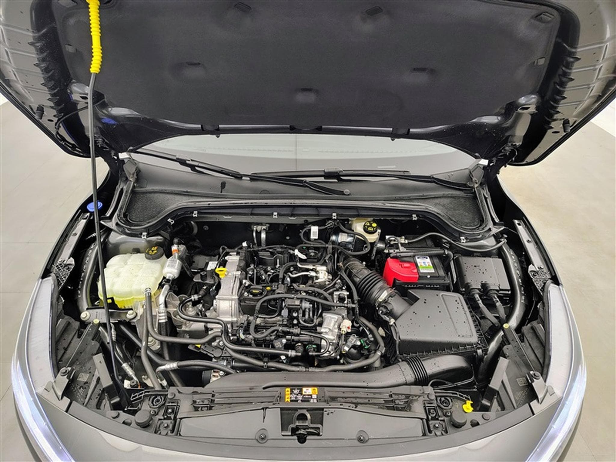 Ford Focus 1.0 EcoBoost 155Cv Titanium X Navi / PDC av+ar (2025) - Foto 19