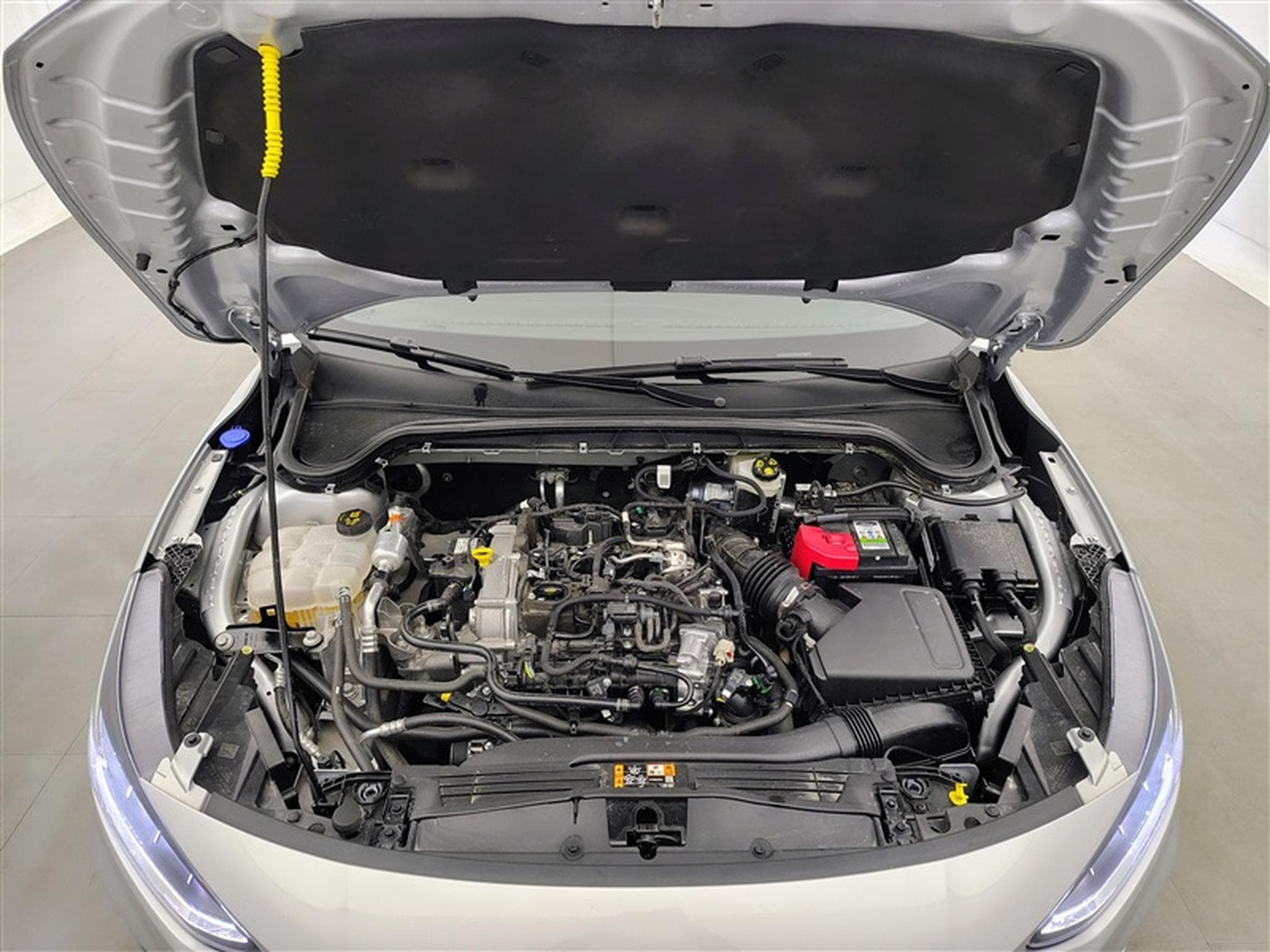 Ford Focus CLIM/NAVI/PDC (2024) - Foto 19