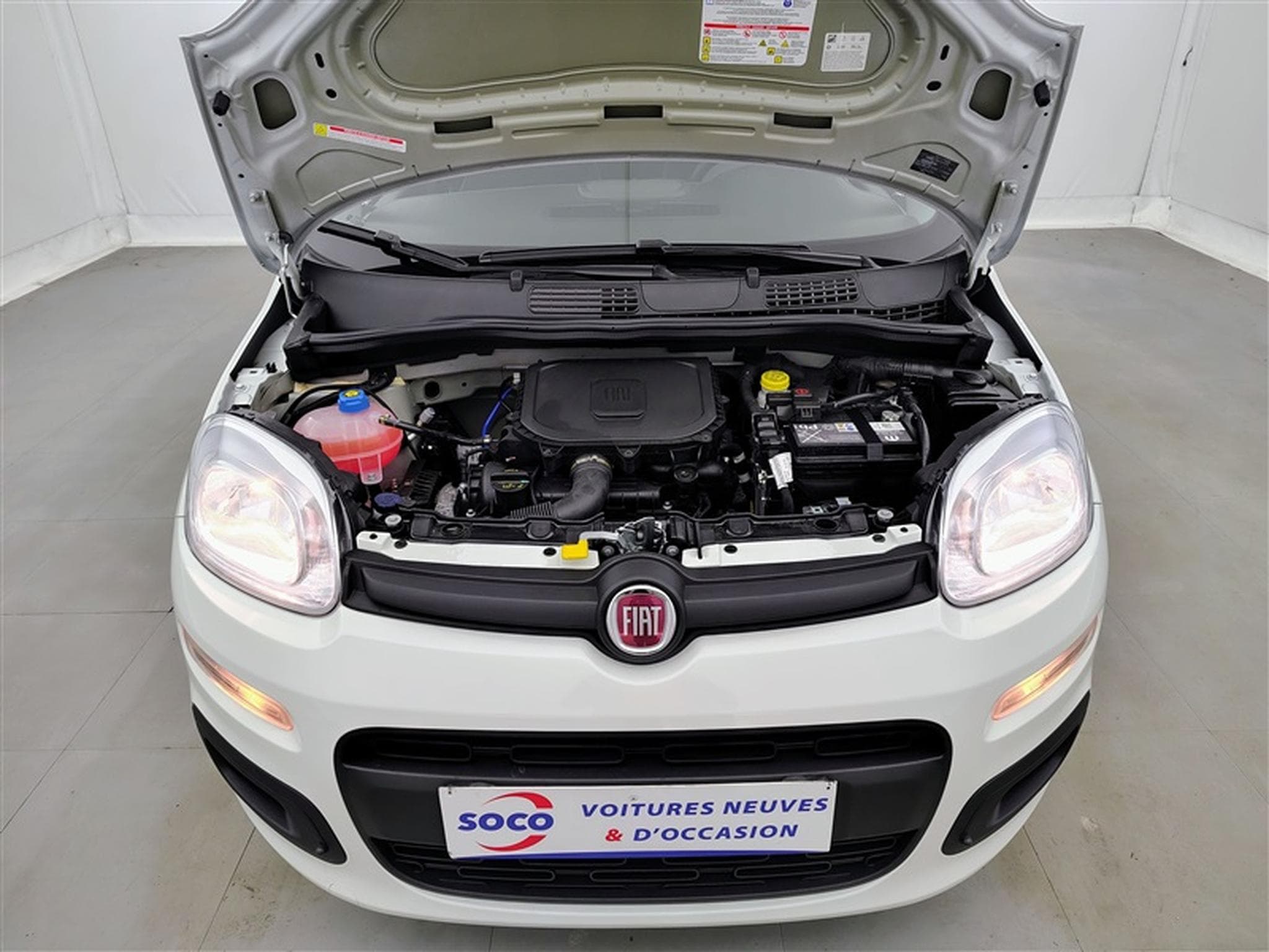 Fiat Panda 1.0i MHEV City Life CLIM / PDC AR (2026) - Photo 17