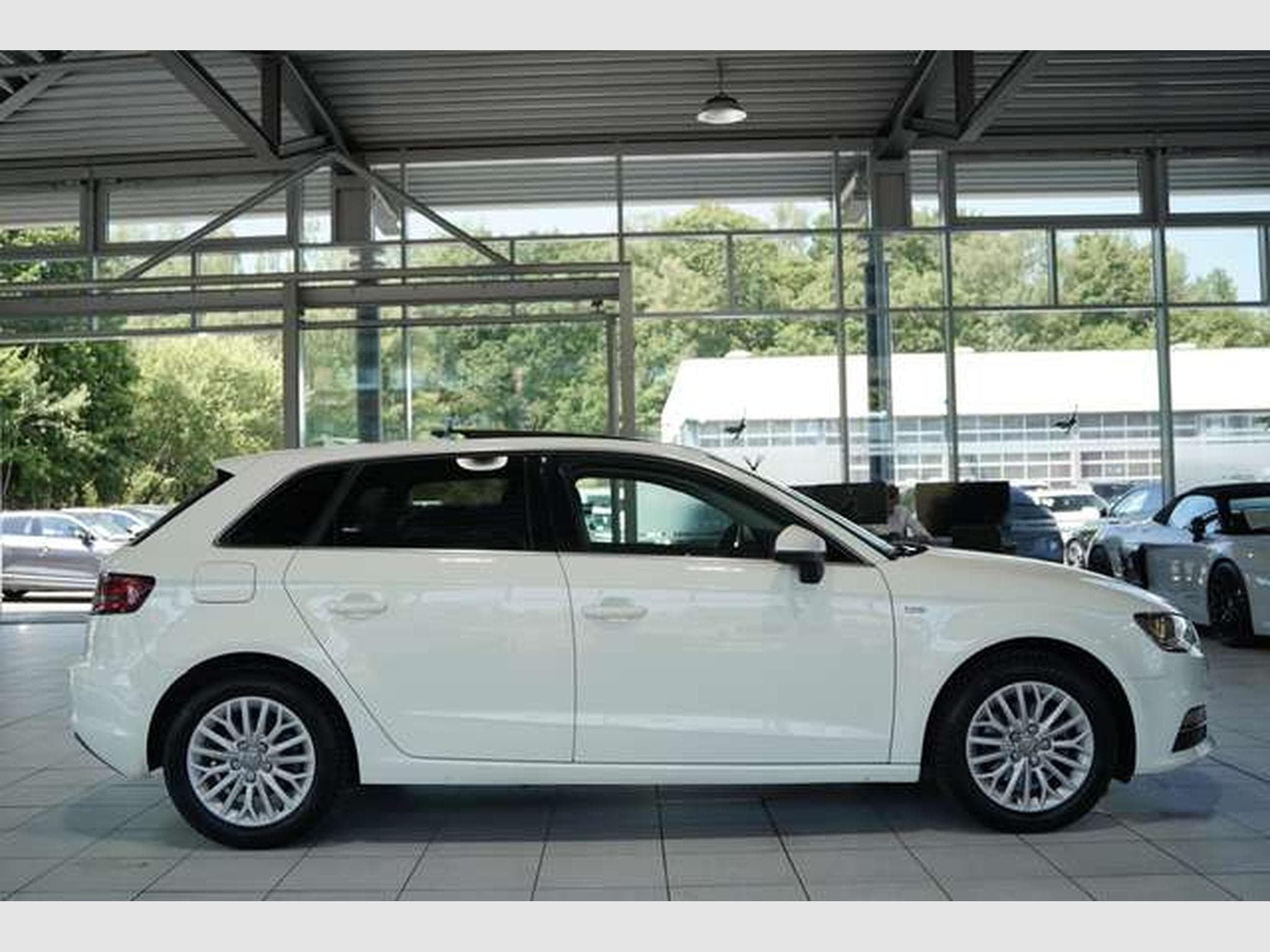 Audi A3 2.0 TDI ambiente quattro *1.Hand *AHK *Pano (2014) - Photo 5