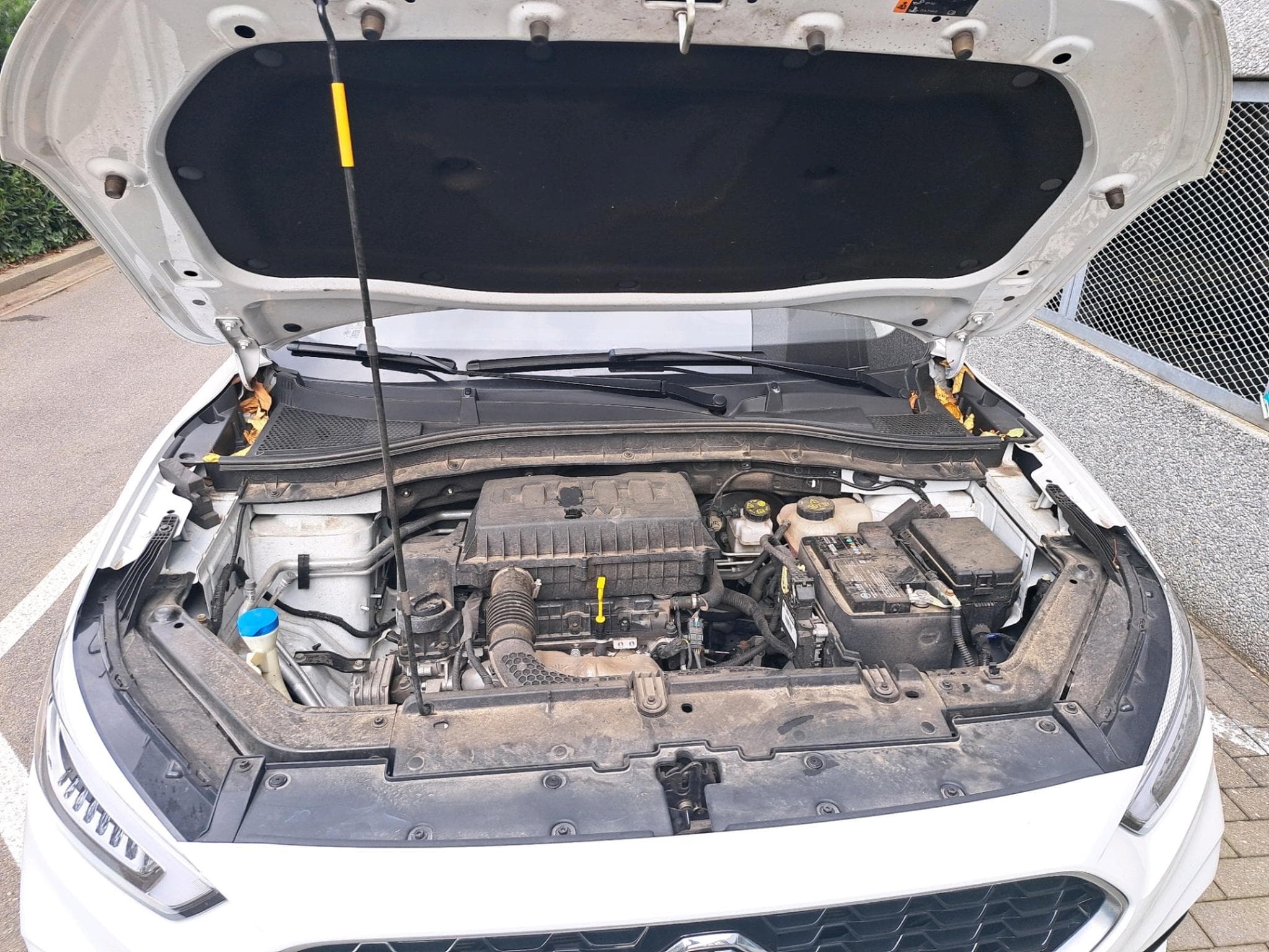 Mg ZS Comfort (2023) - Photo 7