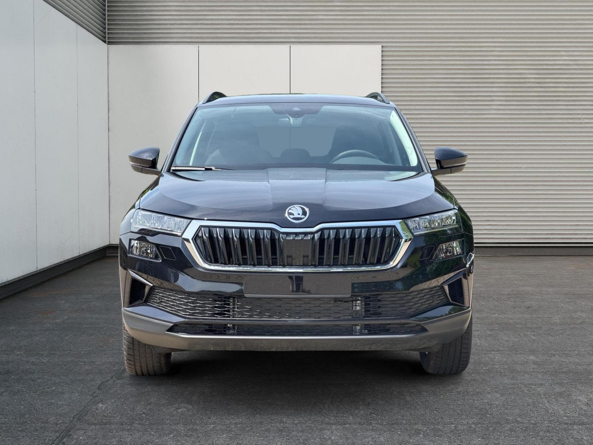 Skoda Karoq Selection (2026) - Foto 6