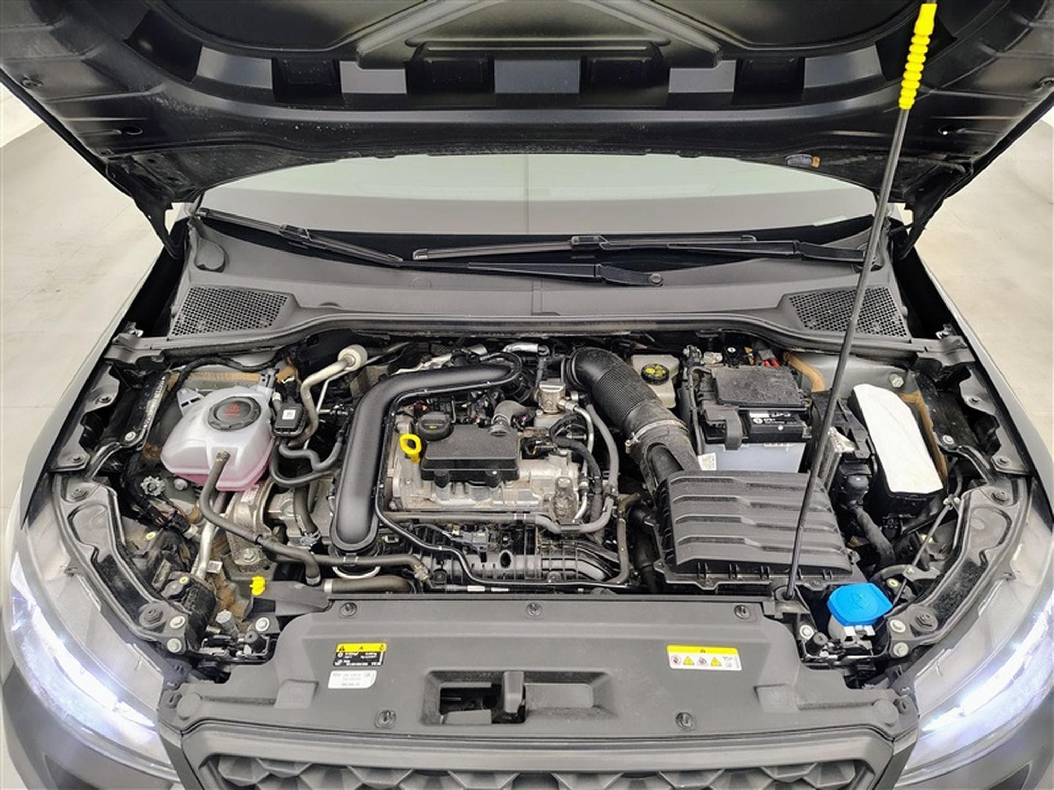Seat Arona 1.0 TSI Move! DSG NAVI / FULL LED / CARPLAY (2024) - Foto 19