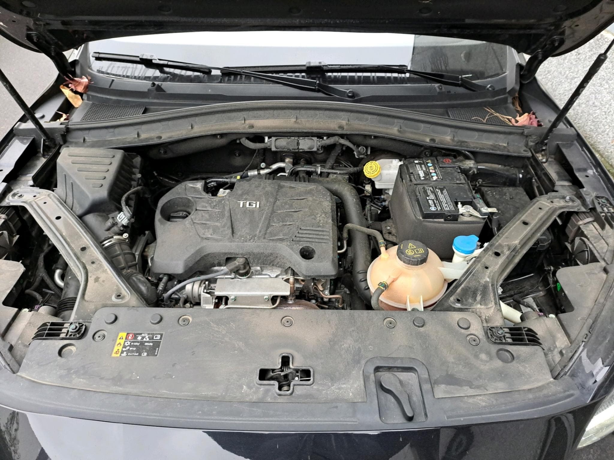 Mg HS Comfort (2023) - Foto 7