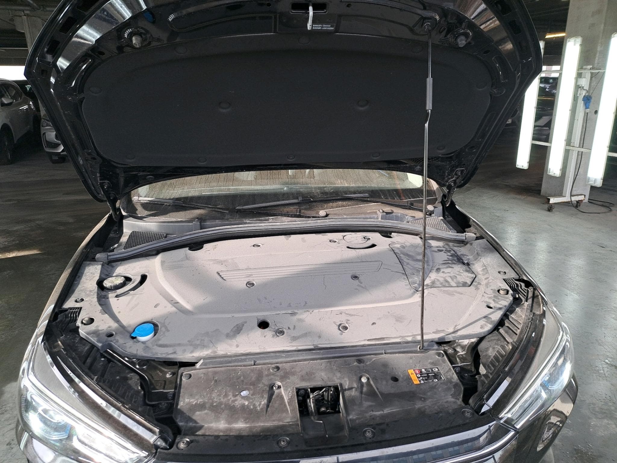 Mg MG5 Comfort (2023) - Foto 7