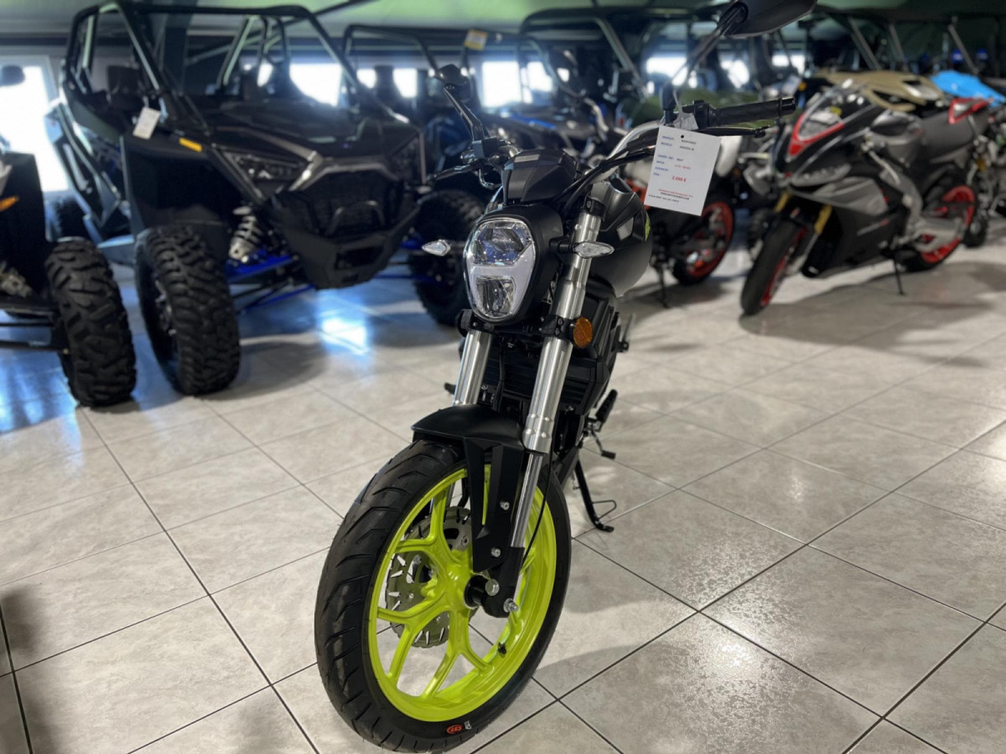 Magpower Biggers 50 (2025) - Foto 2