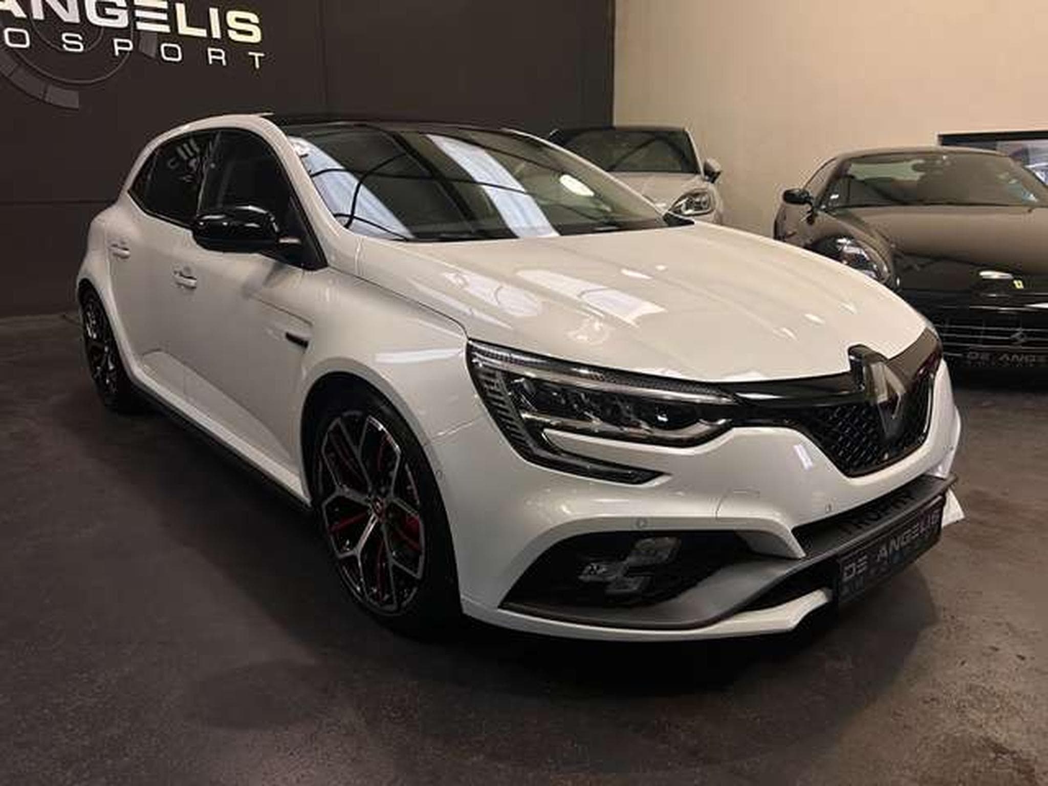 Renault Megane 1.8 TCE 300 RS TROPHY (2022) - Photo 7