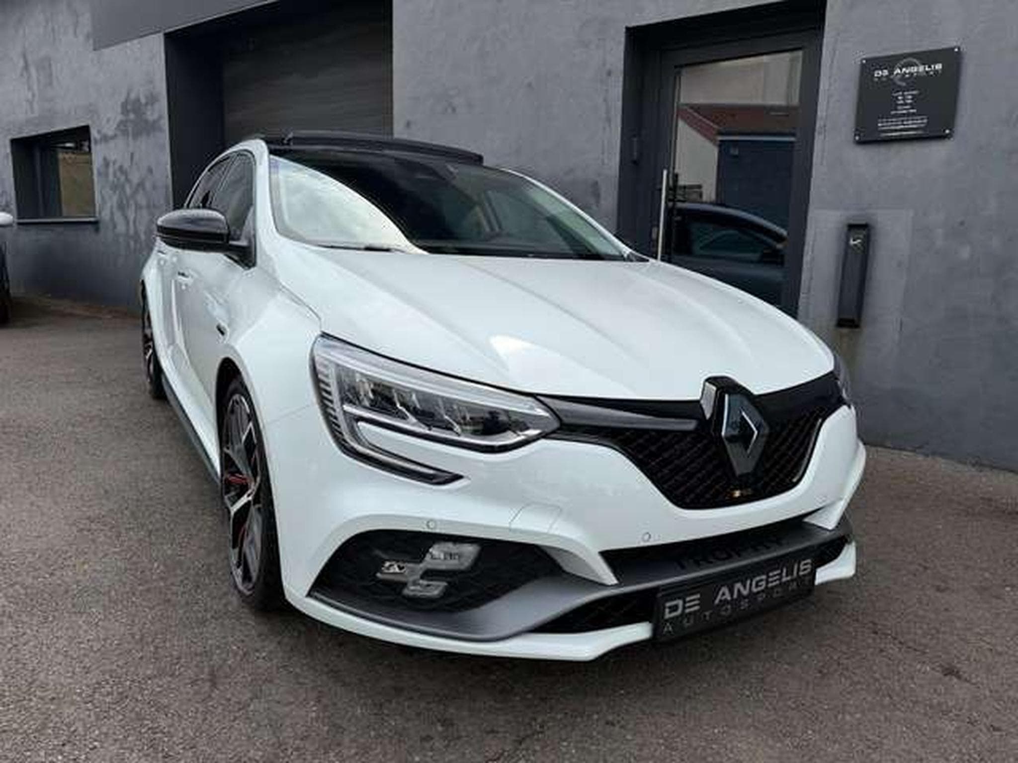 Renault Megane 1.8 TCE 300 RS TROPHY (2022) - Photo 9