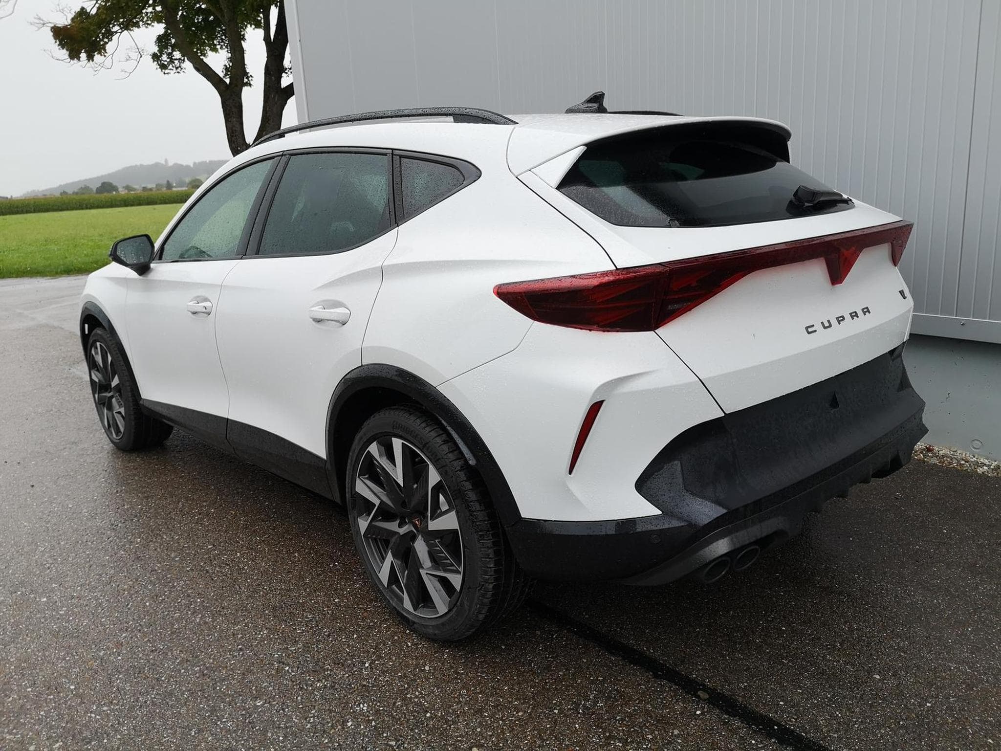 Cupra Formentor VZ 2.0 TSI 245 kW 4Drive (2025) - Foto 2
