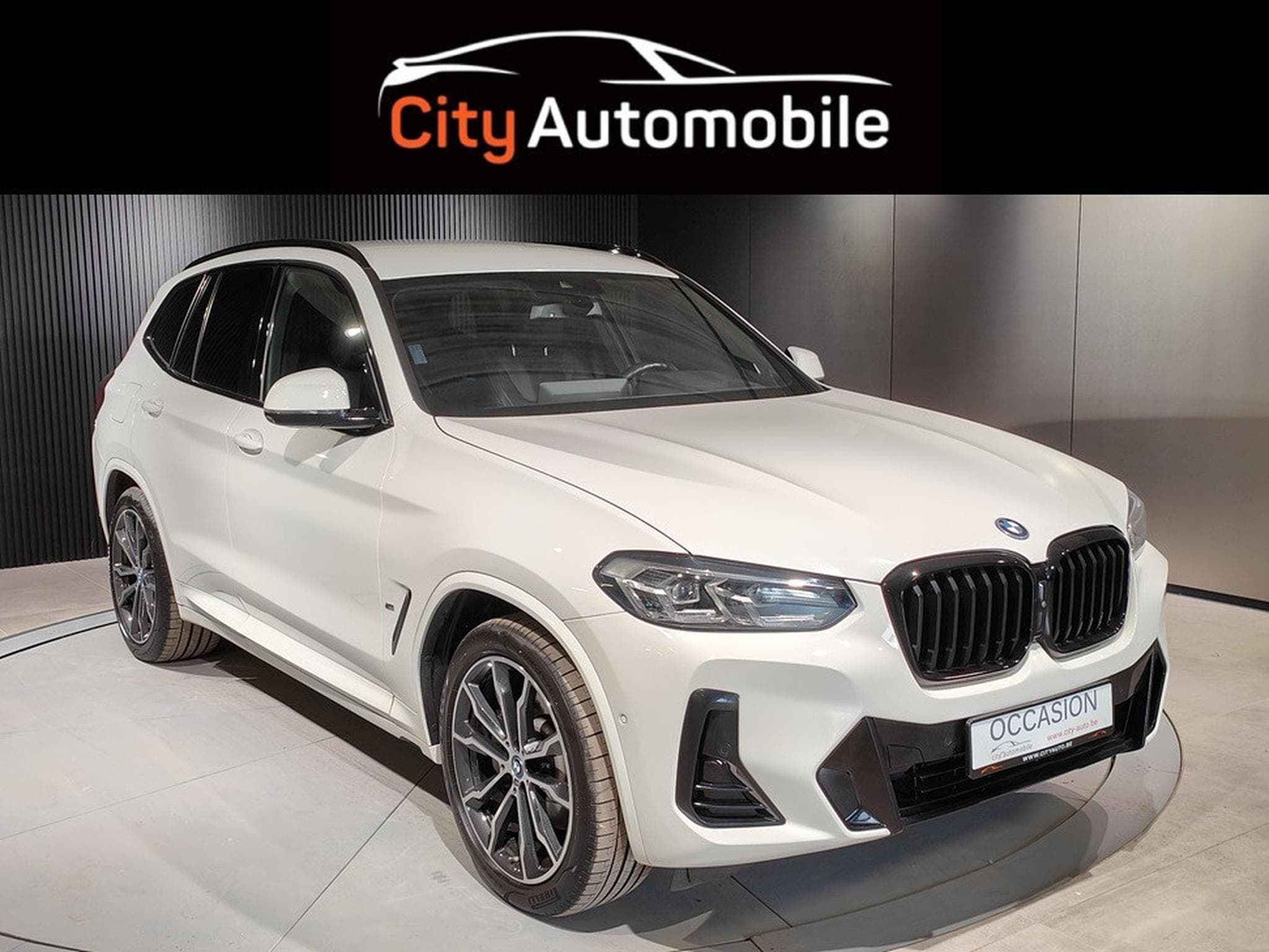 BMW X3 XDRIVE30e PACK M CARPLAY CAMERA 360 GPS LED (2023) - Foto 1