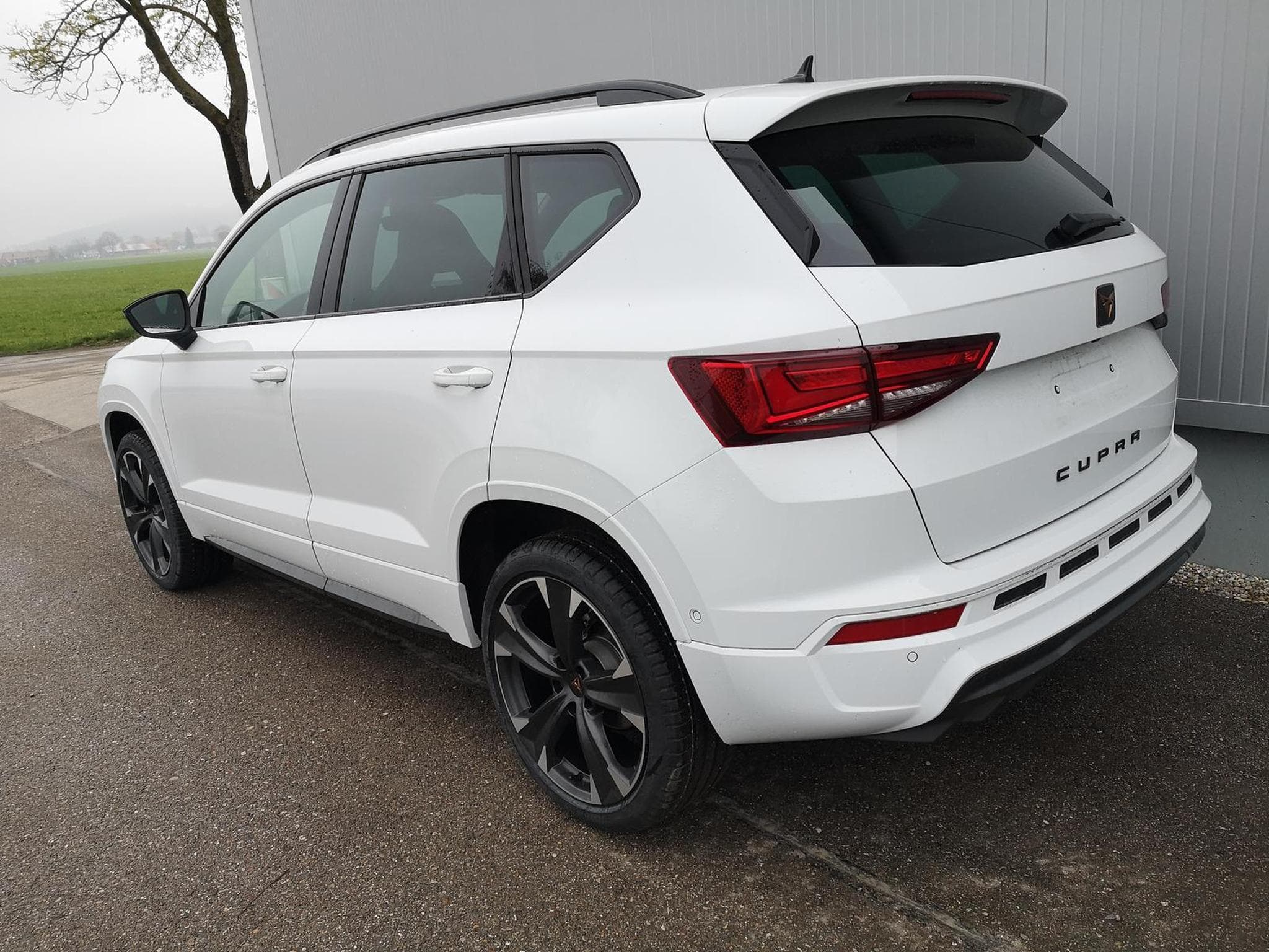 Cupra Ateca 1.5TSI 19 Zoll (2026) - Photo 2