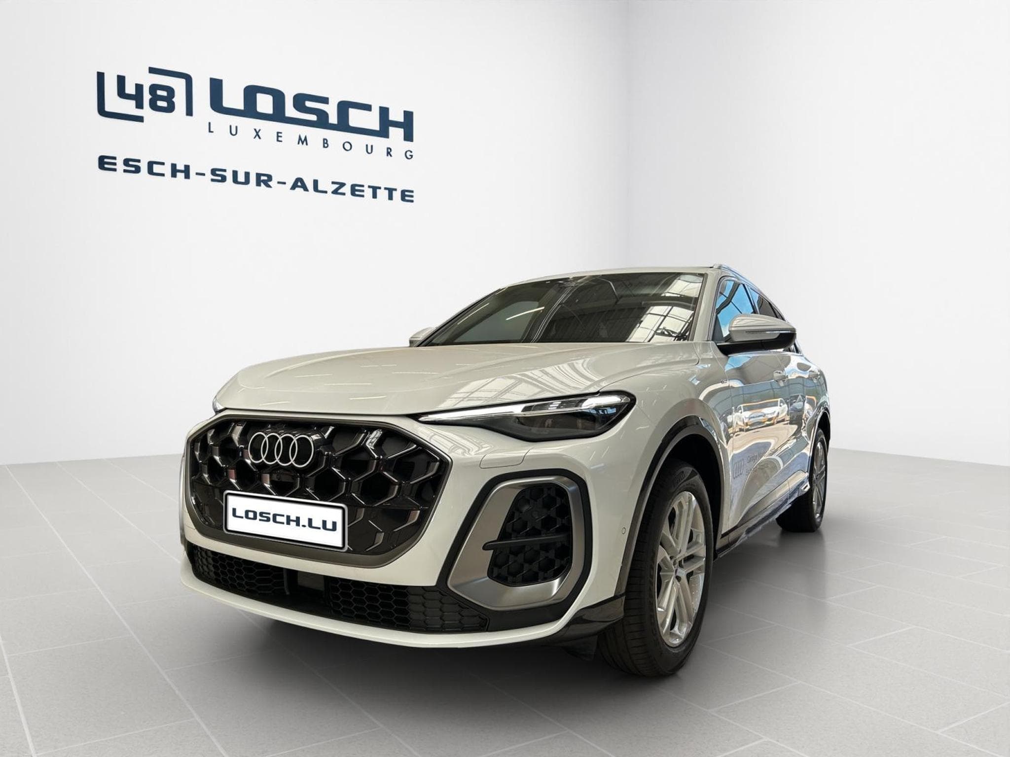 Audi Q5 TDI quattro 150 kW S tronic (2026) - Foto 2