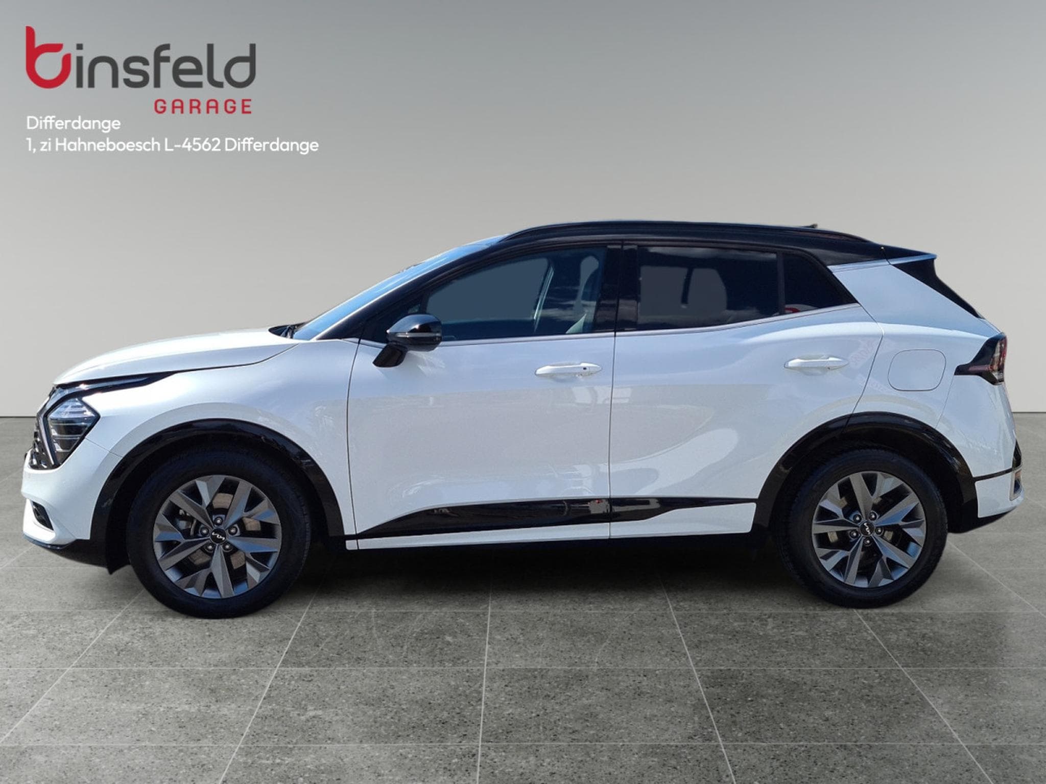 Kia Sportage GT Line HEV (2022) - Foto 2