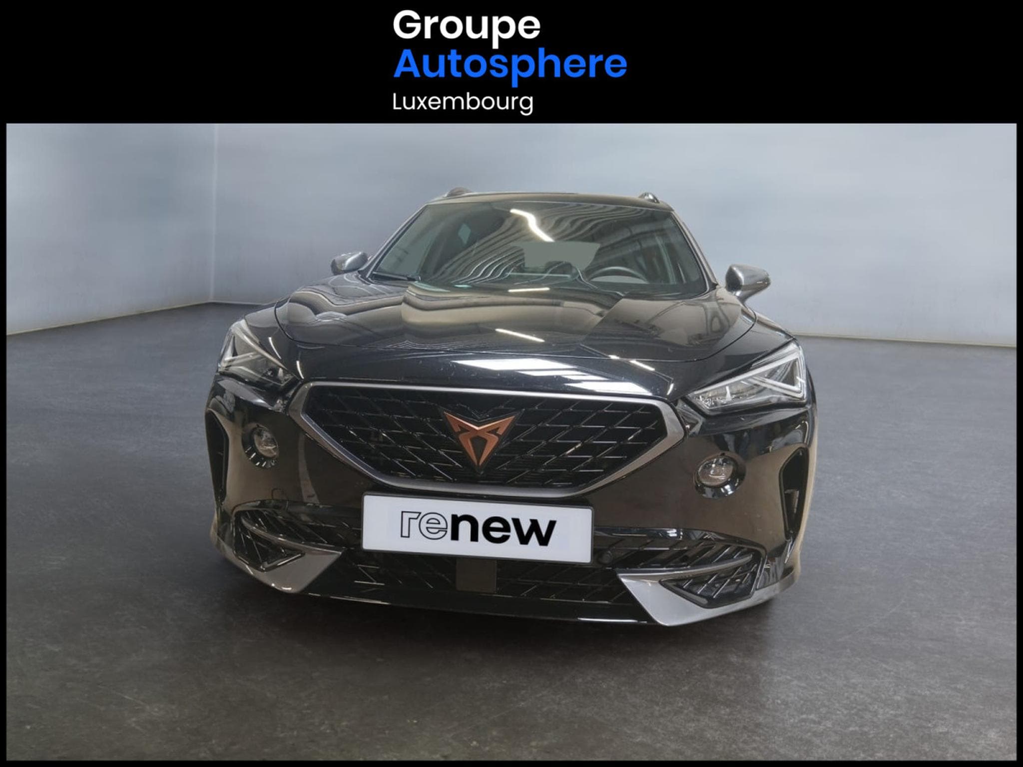 Cupra Formentor 2.0 TSI 4DRIVE VZ DSG (2024) - Photo 2